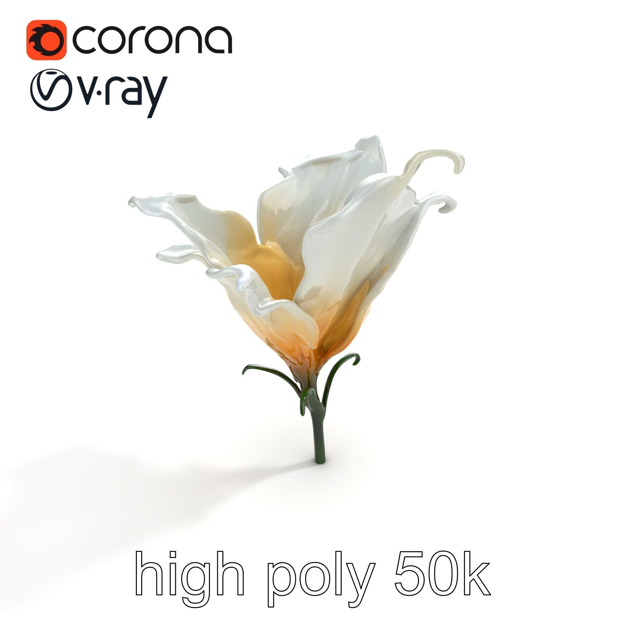 Mystical Swirl Petal Flower model pack Low-poly 3D model_15