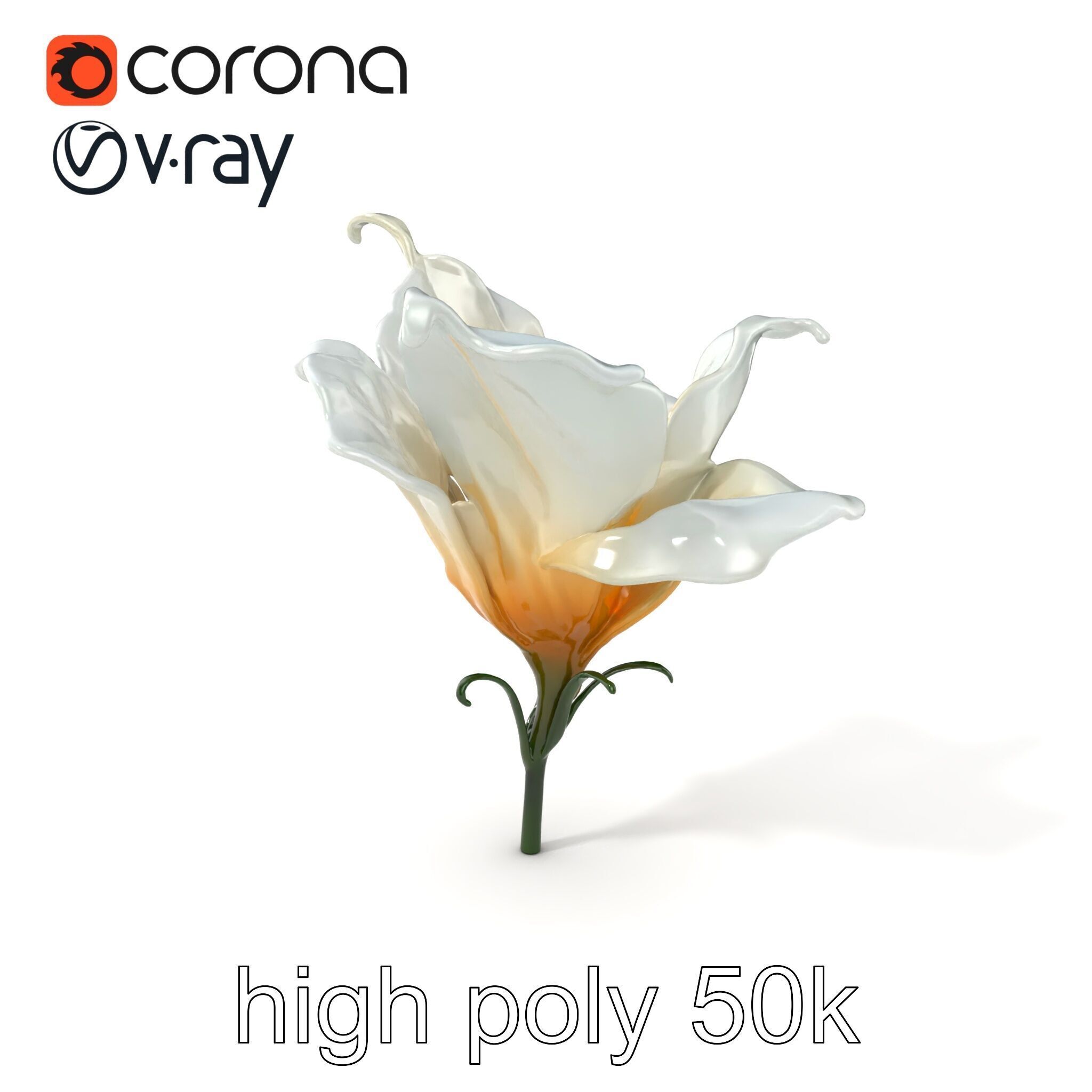 Mystical Swirl Petal Flower model pack Low-poly 3D model_2