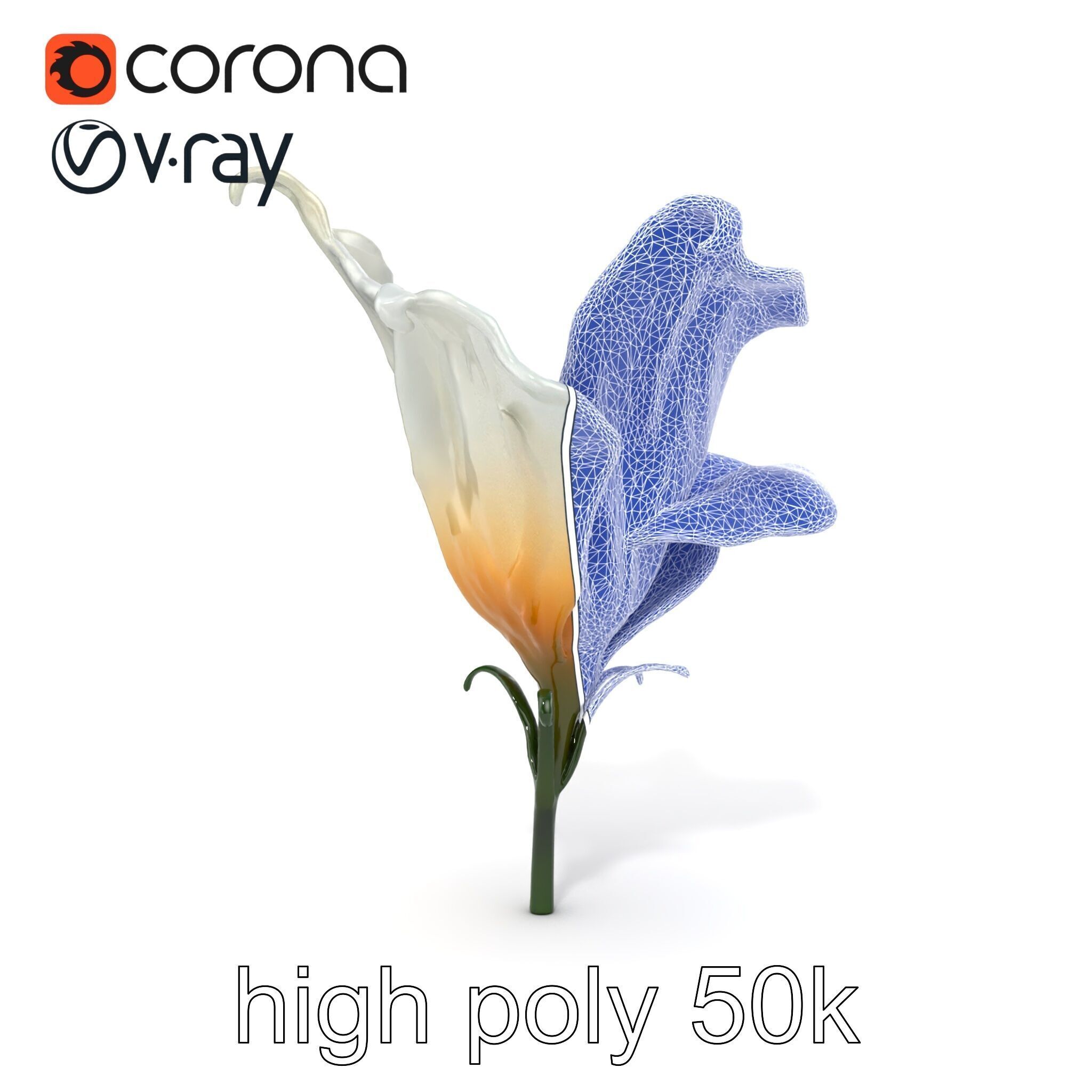 Mystical Swirl Petal Flower model pack Low-poly 3D model_26