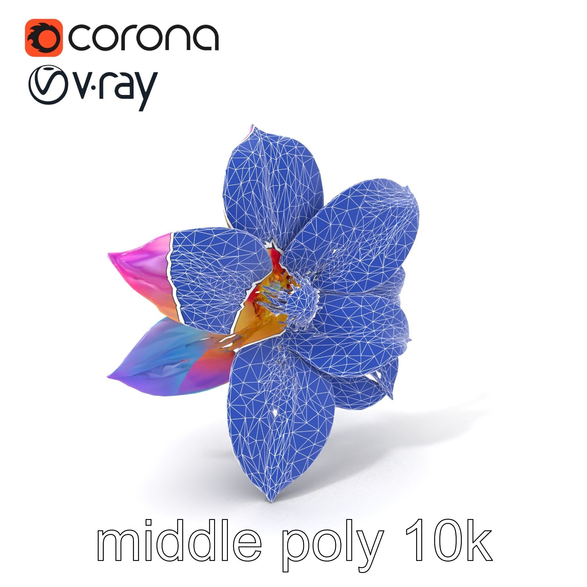 Mythical Phoenix Motif Treasure Chest model pack Low-poly 3D model_6