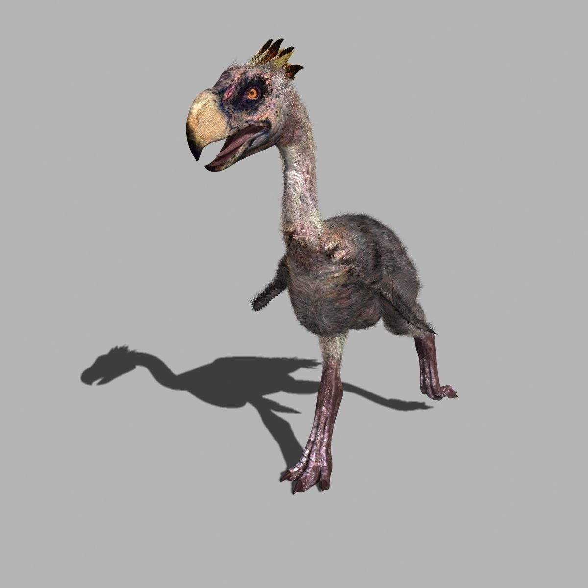 Terror Bird Phorusrhacos 3d model 3D model_5