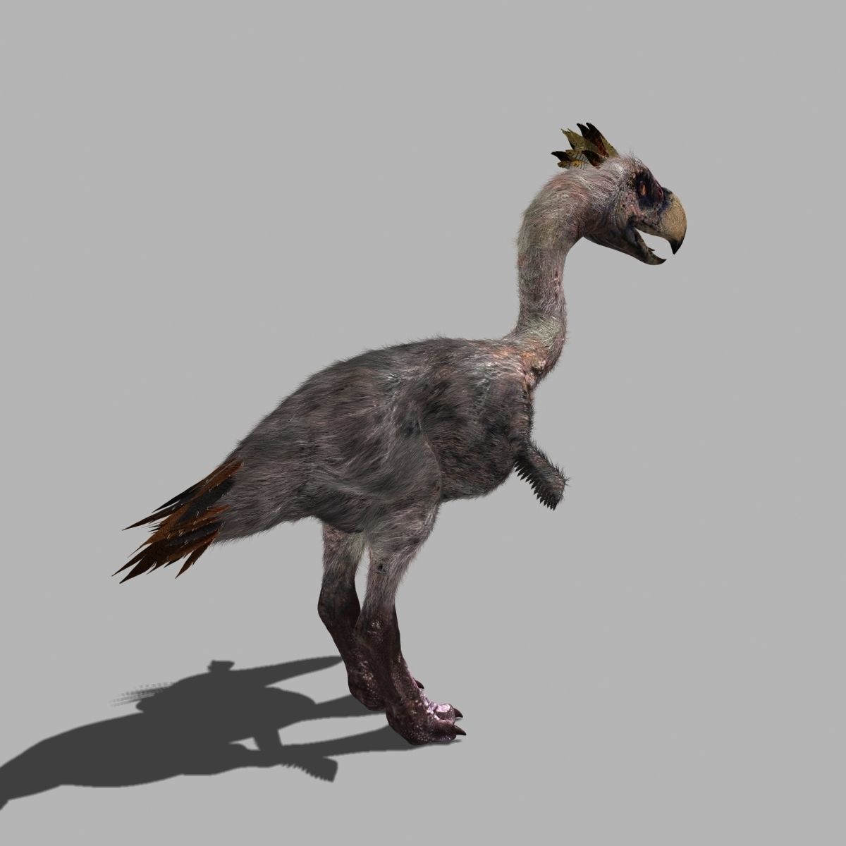 Terror Bird Phorusrhacos 3d model 3D model_8