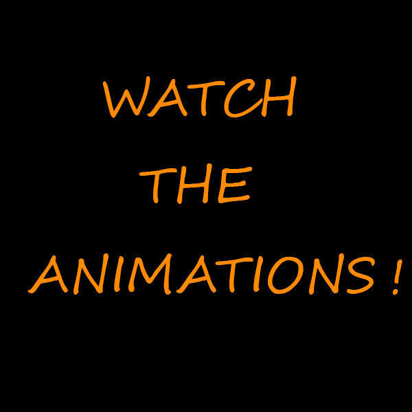 Terror Bird Phorusrhacos 3d model 3D model_22