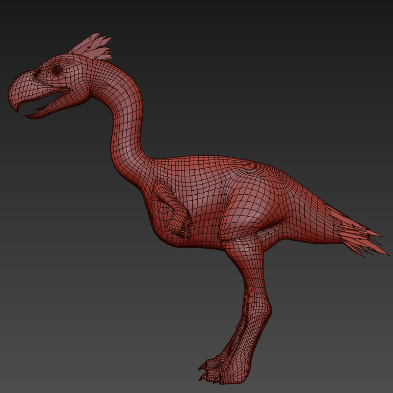 Terror Bird Phorusrhacos 3d model 3D model_14