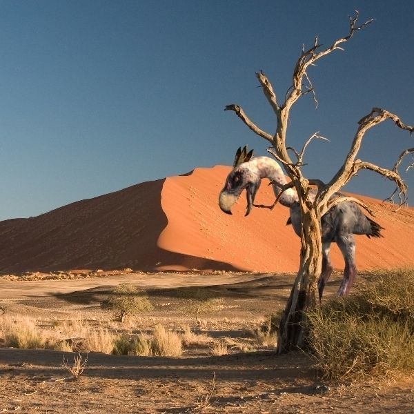 Terror Bird Phorusrhacos 3d model 3D model_21