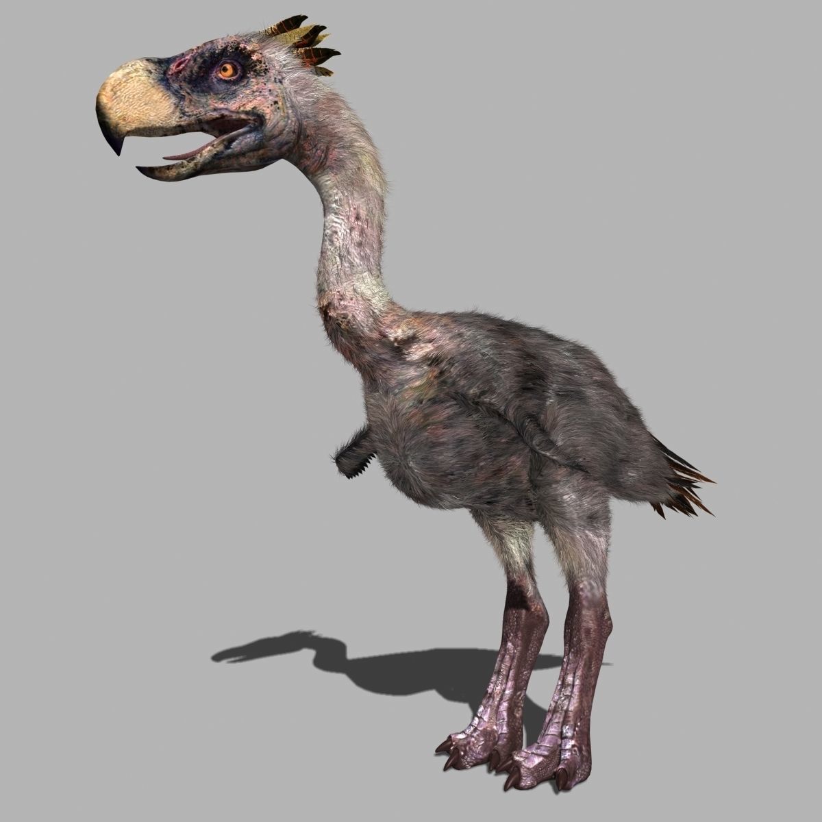 Terror Bird Phorusrhacos 3d model 3D model_7