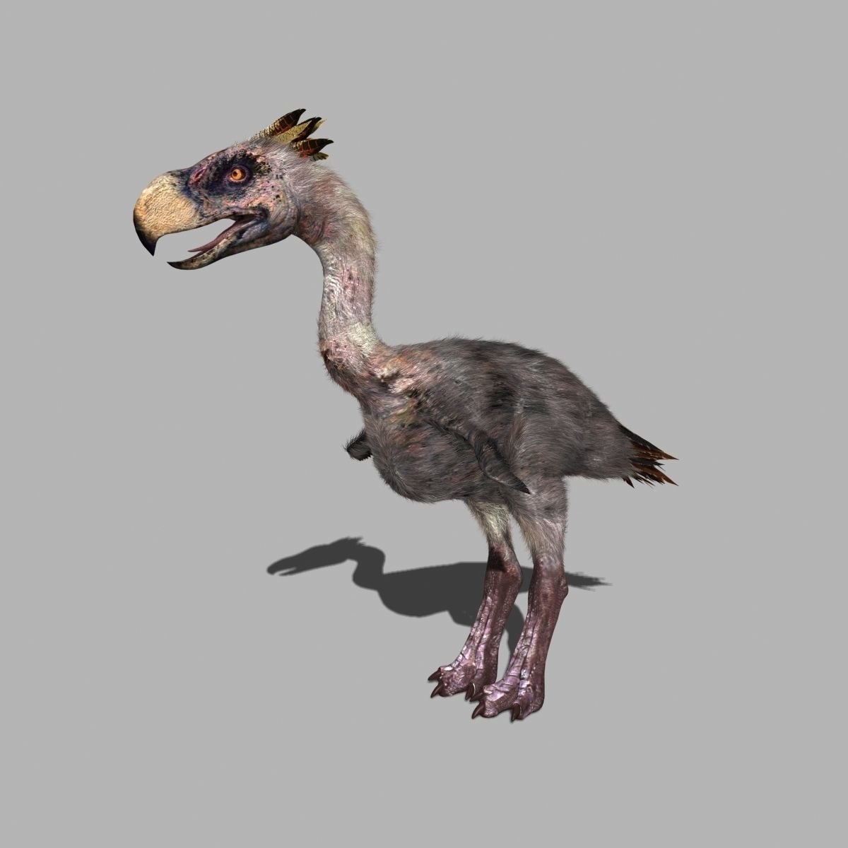 Terror Bird Phorusrhacos 3d model 3D model_3