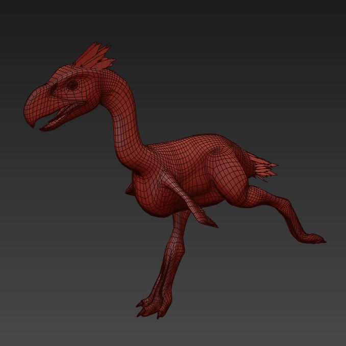 Terror Bird Phorusrhacos 3d model 3D model_16