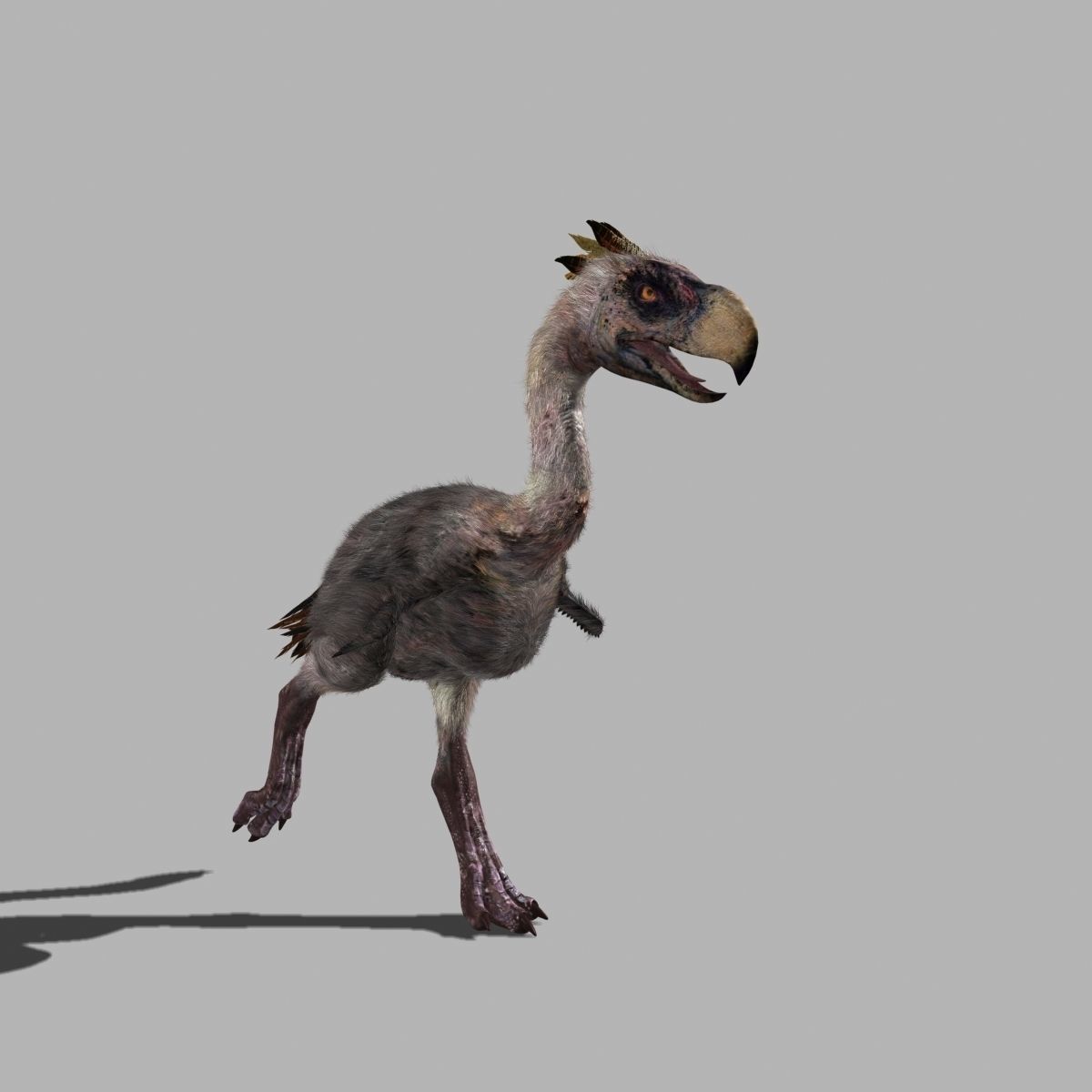 Terror Bird Phorusrhacos 3d model 3D model_9