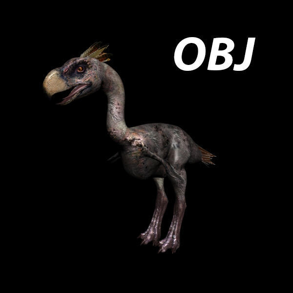 Terror Bird Phorusrhacos 3d model 3D model_10