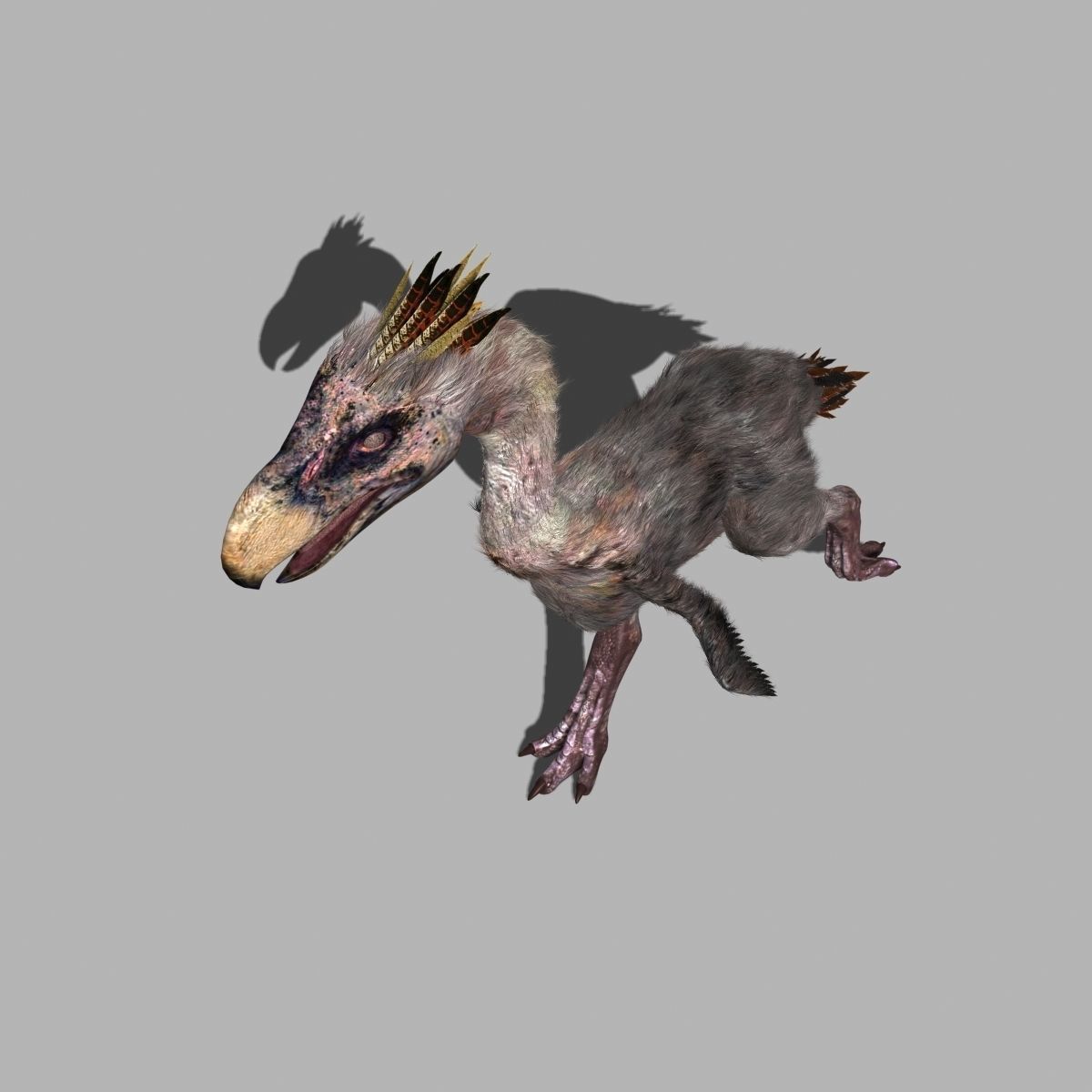 Terror Bird Phorusrhacos 3d model 3D model_6