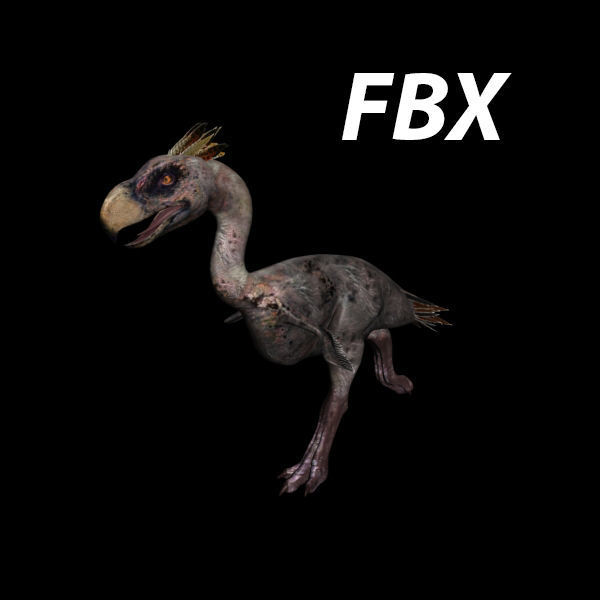 Terror Bird Phorusrhacos 3d model 3D model_11