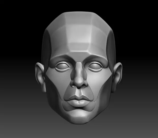 Head Anatomy Free 3D print model
