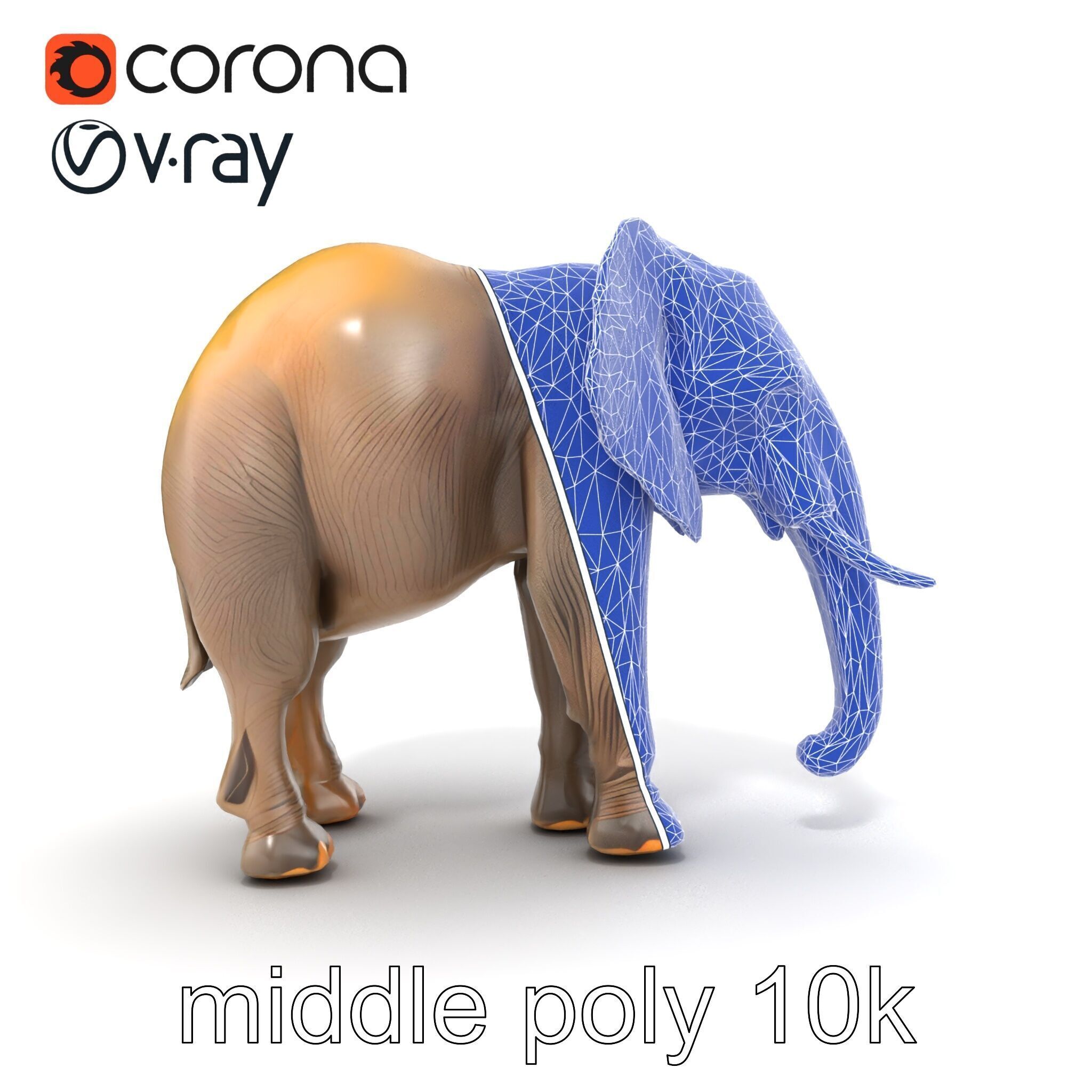 African Forest Elephant Realistic Sculpture model pack Low-poly 3D model_23