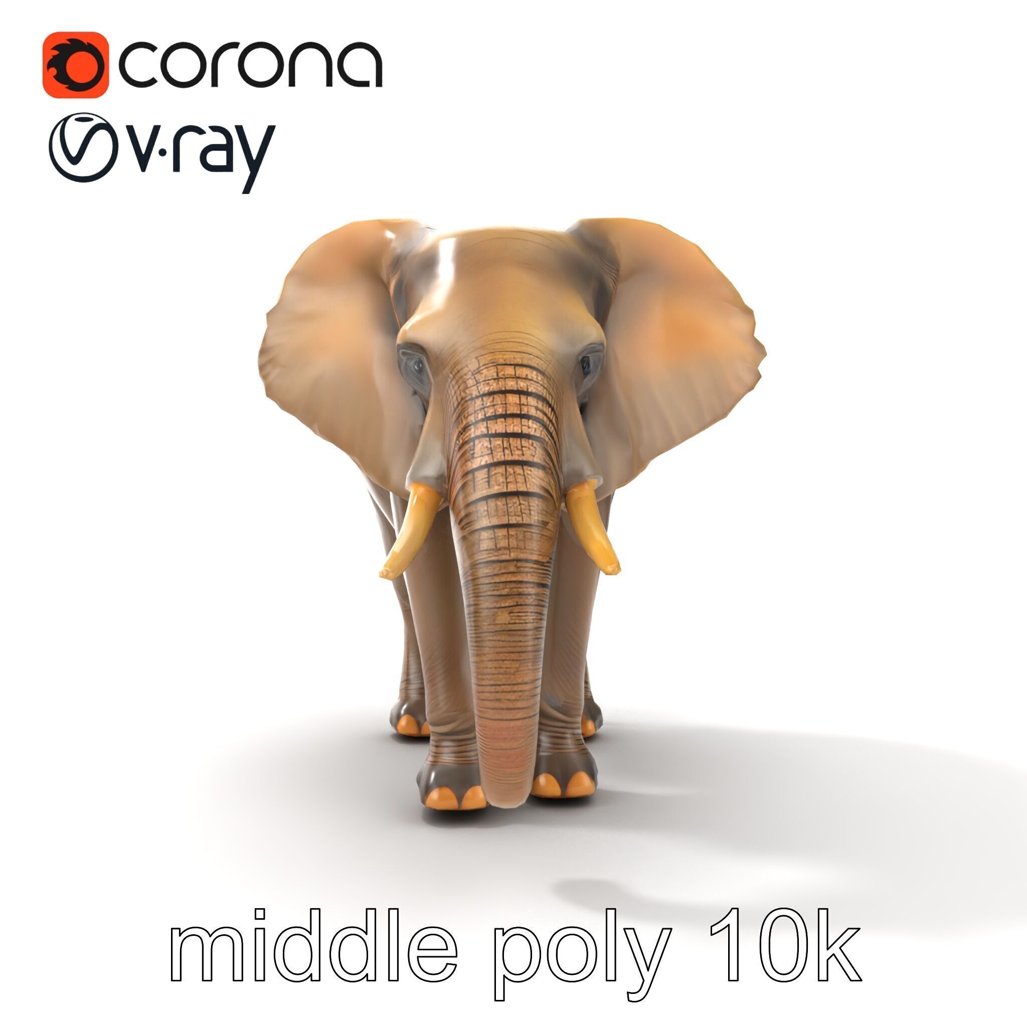 African Forest Elephant Realistic Sculpture model pack Low-poly 3D model_15