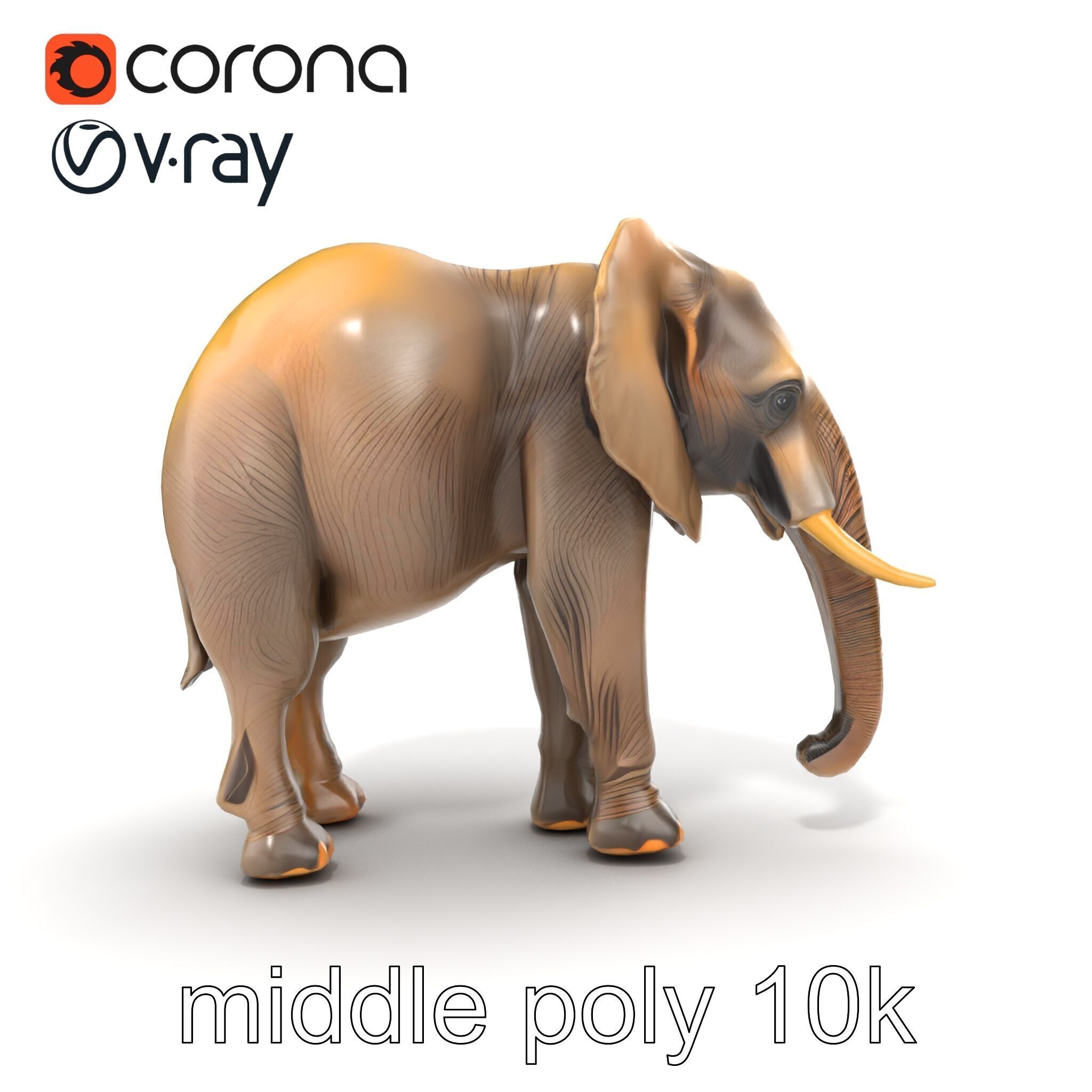 African Forest Elephant Realistic Sculpture model pack Low-poly 3D model_24