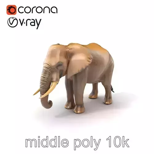 Realistic Elephant with Water Drops Model Pack Low-poly 3D model