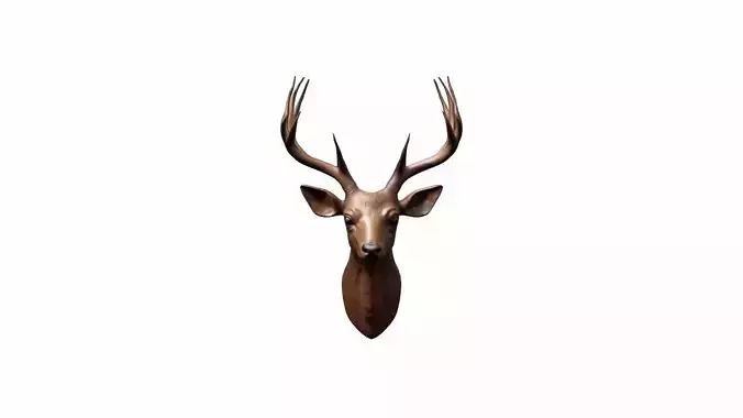  3d Render Close Up Of Red Deer Head