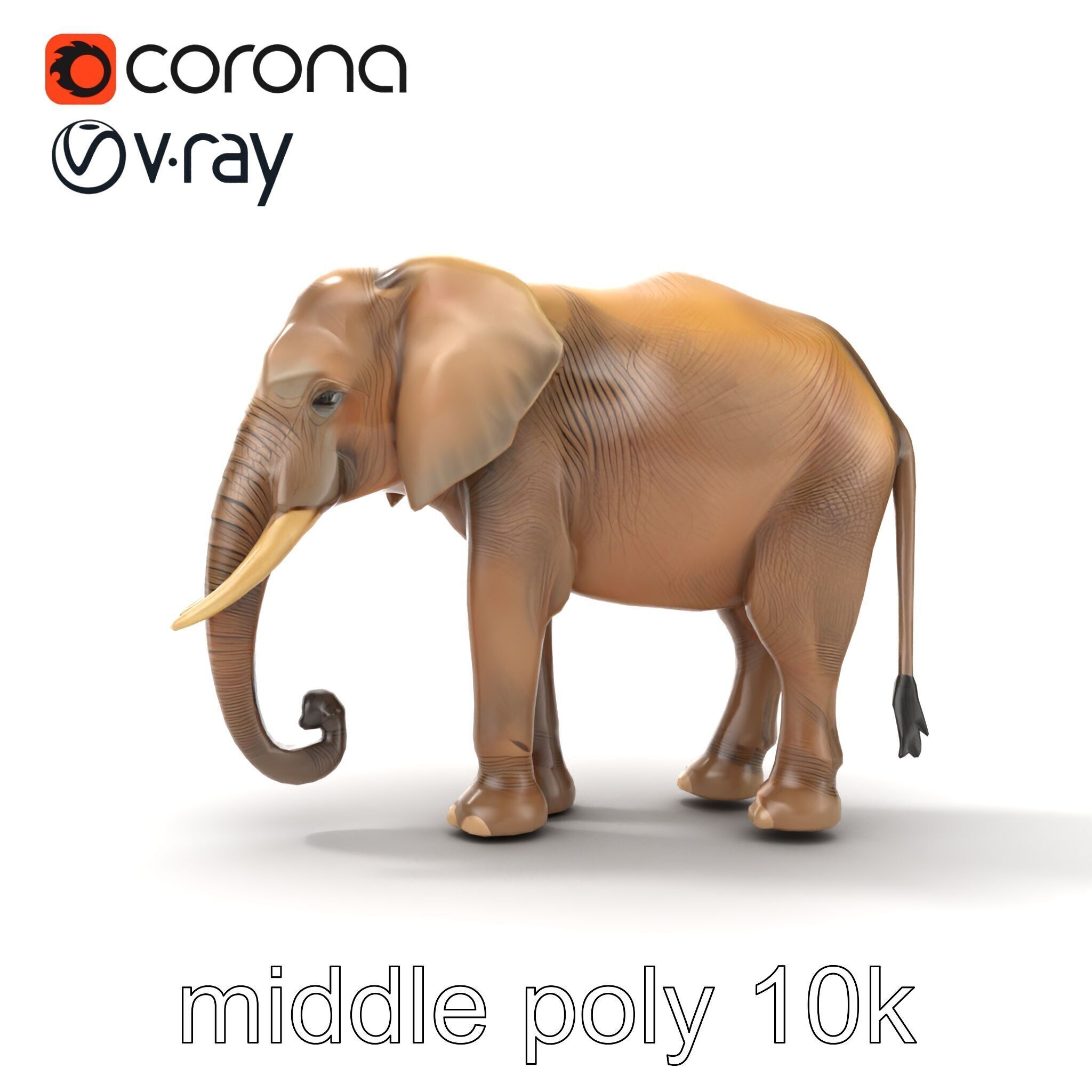 Elder Elephant Model Pack with Detailed Wrinkles Low-poly 3D model_19