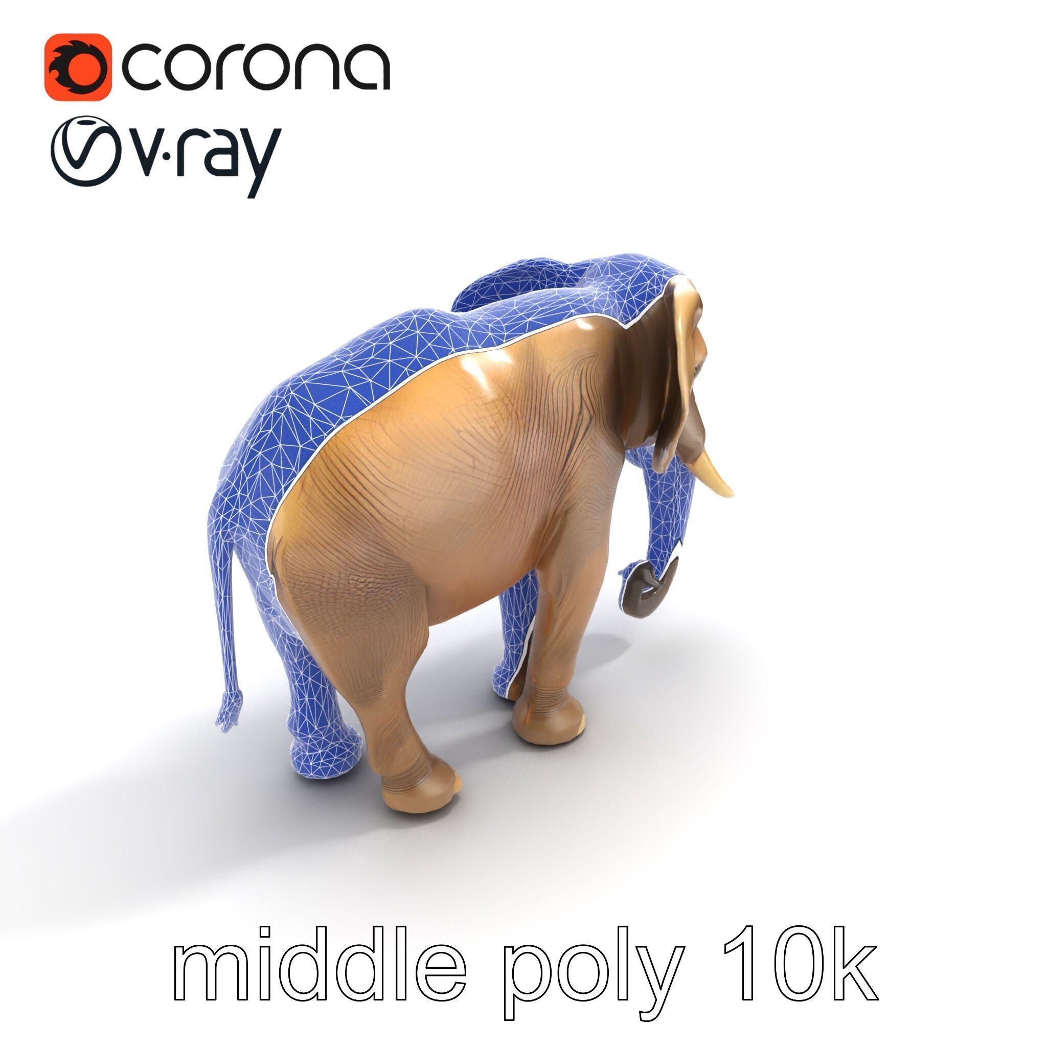 Elder Elephant Model Pack with Detailed Wrinkles Low-poly 3D model_28