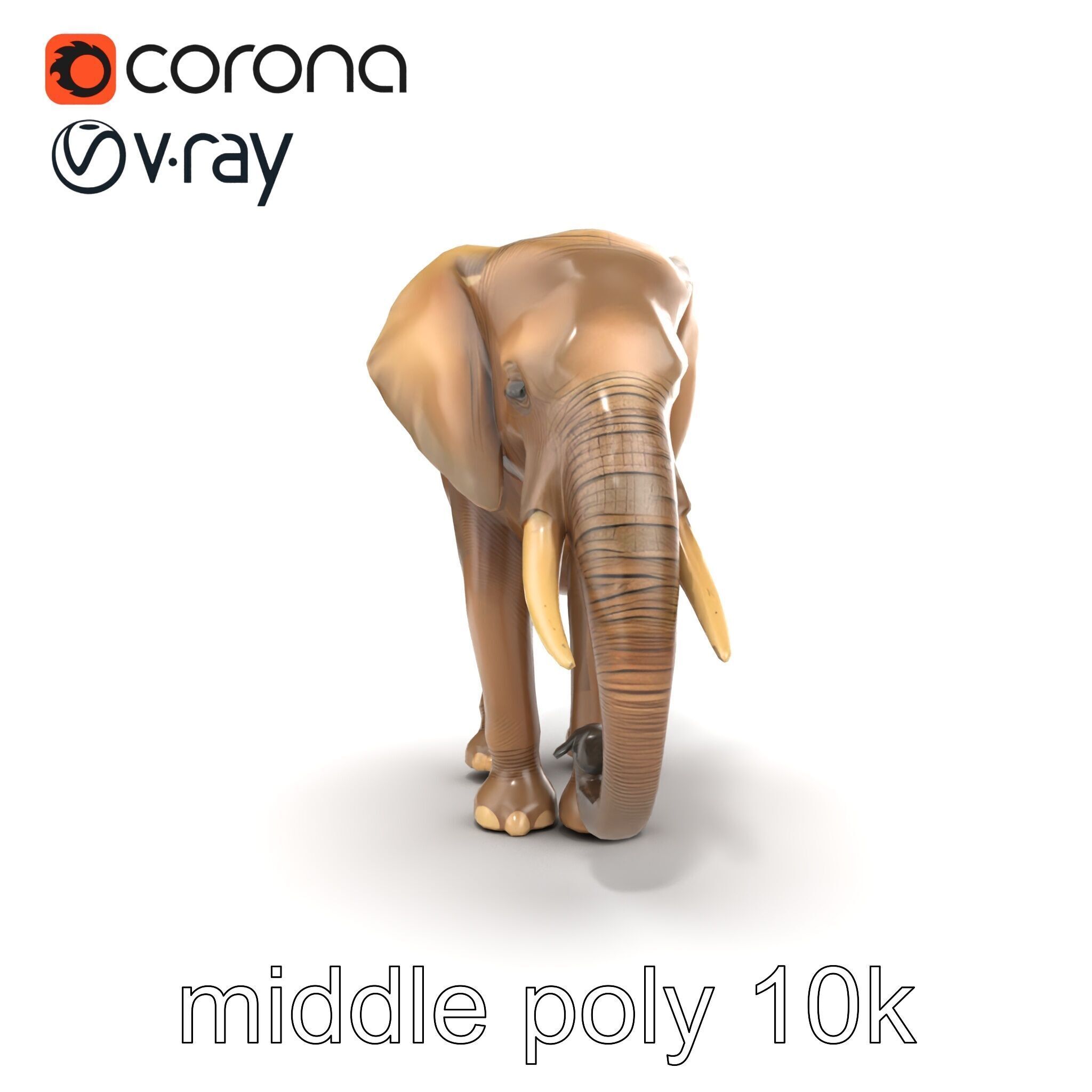 Elder Elephant Model Pack with Detailed Wrinkles Low-poly 3D model_27
