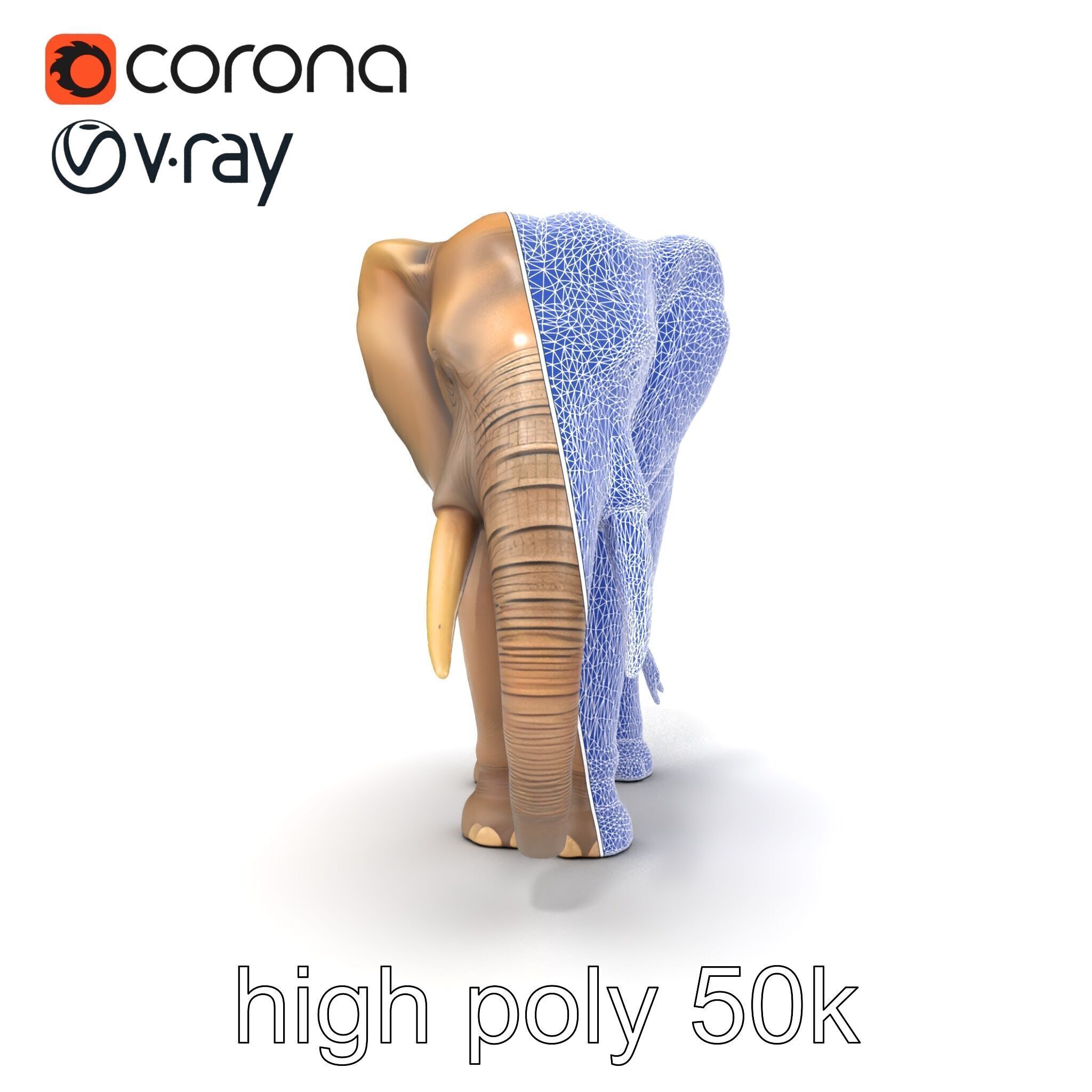 Elder Elephant Model Pack with Detailed Wrinkles Low-poly 3D model_26
