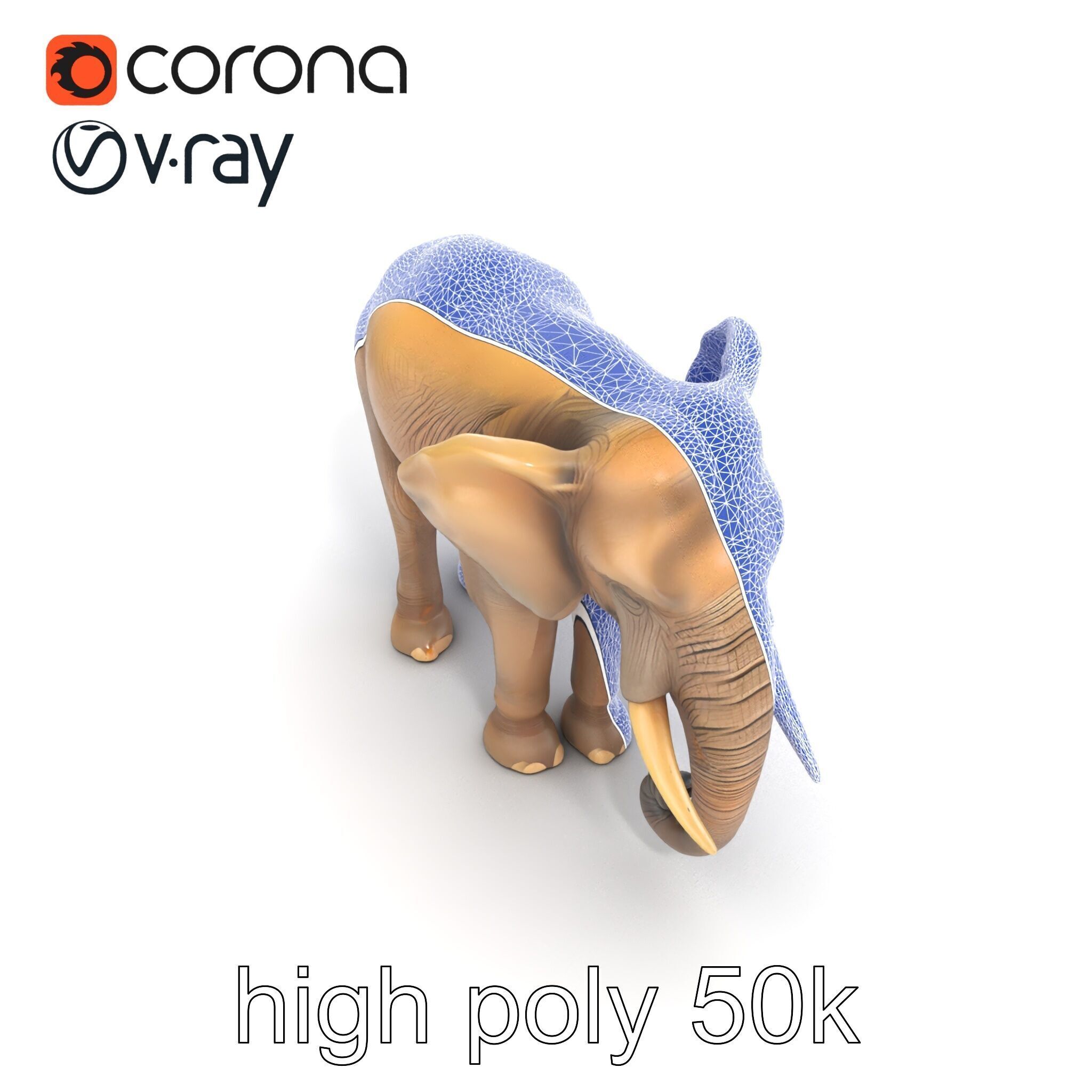 Elder Elephant Model Pack with Detailed Wrinkles Low-poly 3D model_23