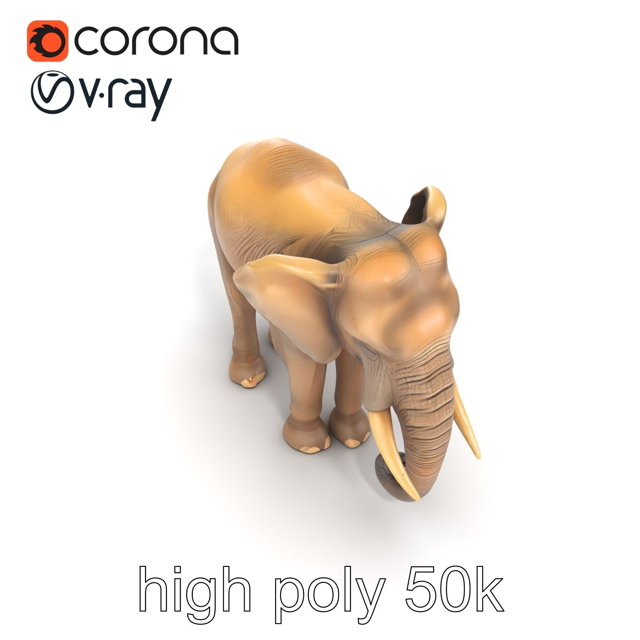 Elder Elephant Model Pack with Detailed Wrinkles Low-poly 3D model_18