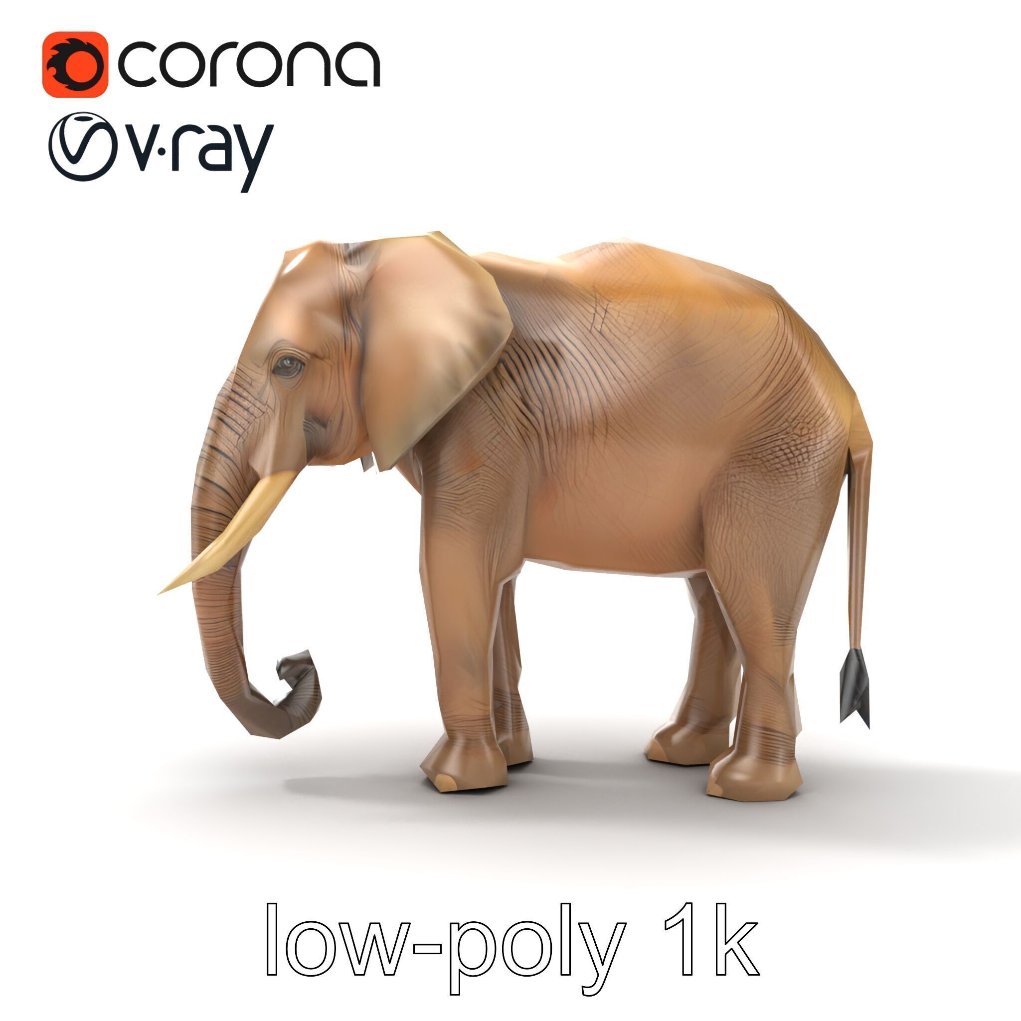 Elder Elephant Model Pack with Detailed Wrinkles Low-poly 3D model_29