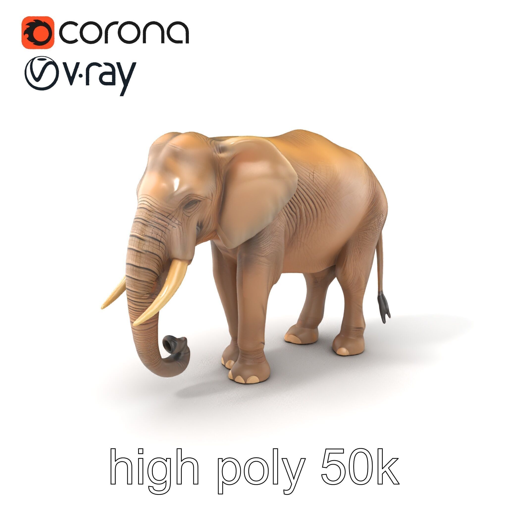 Elder Elephant Model Pack with Detailed Wrinkles Low-poly 3D model_2