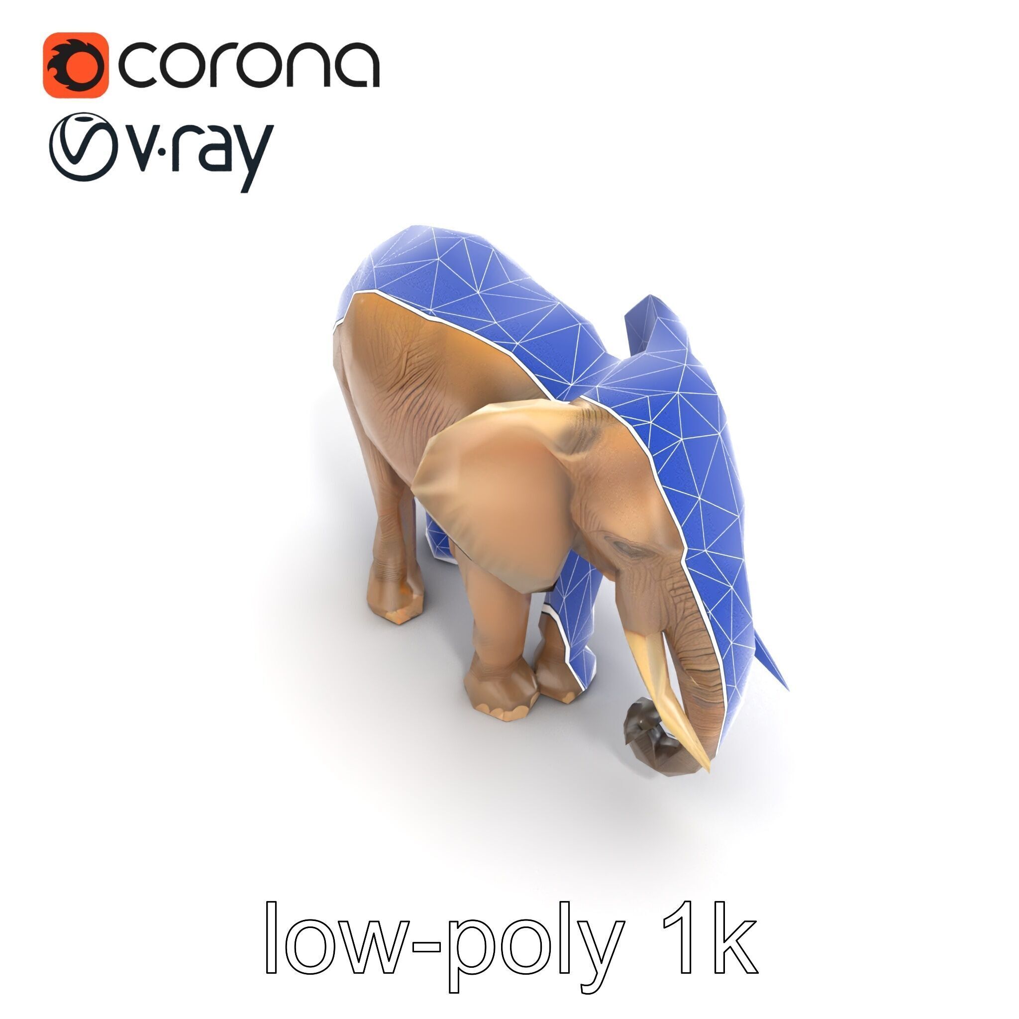 Elder Elephant Model Pack with Detailed Wrinkles Low-poly 3D model_12