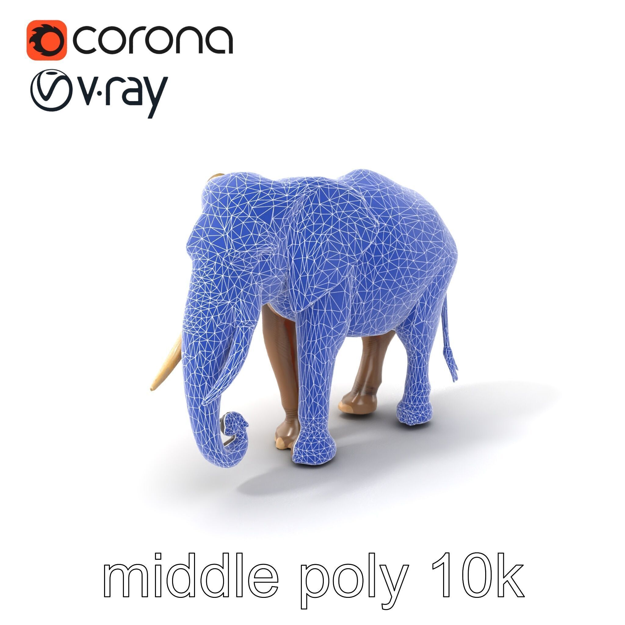 Elder Elephant Model Pack with Detailed Wrinkles Low-poly 3D model_6