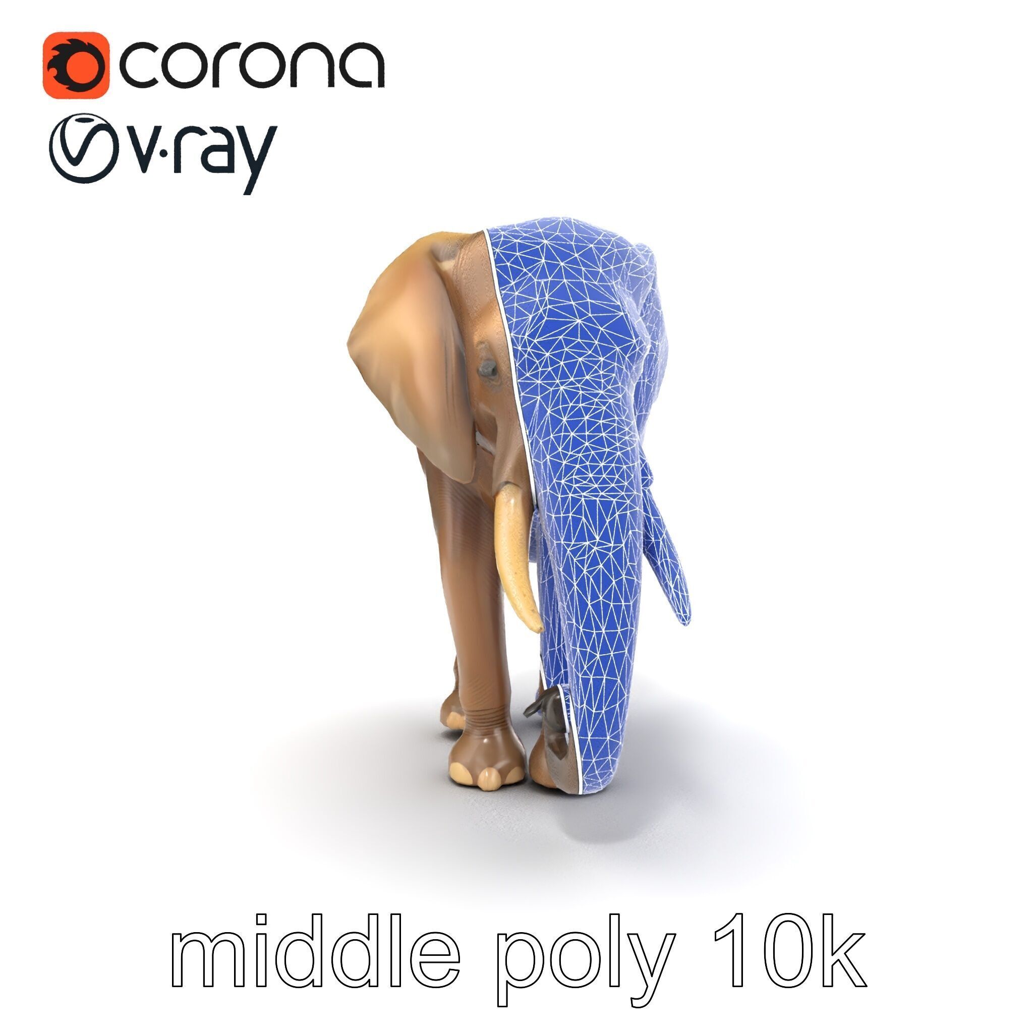 Elder Elephant Model Pack with Detailed Wrinkles Low-poly 3D model_13