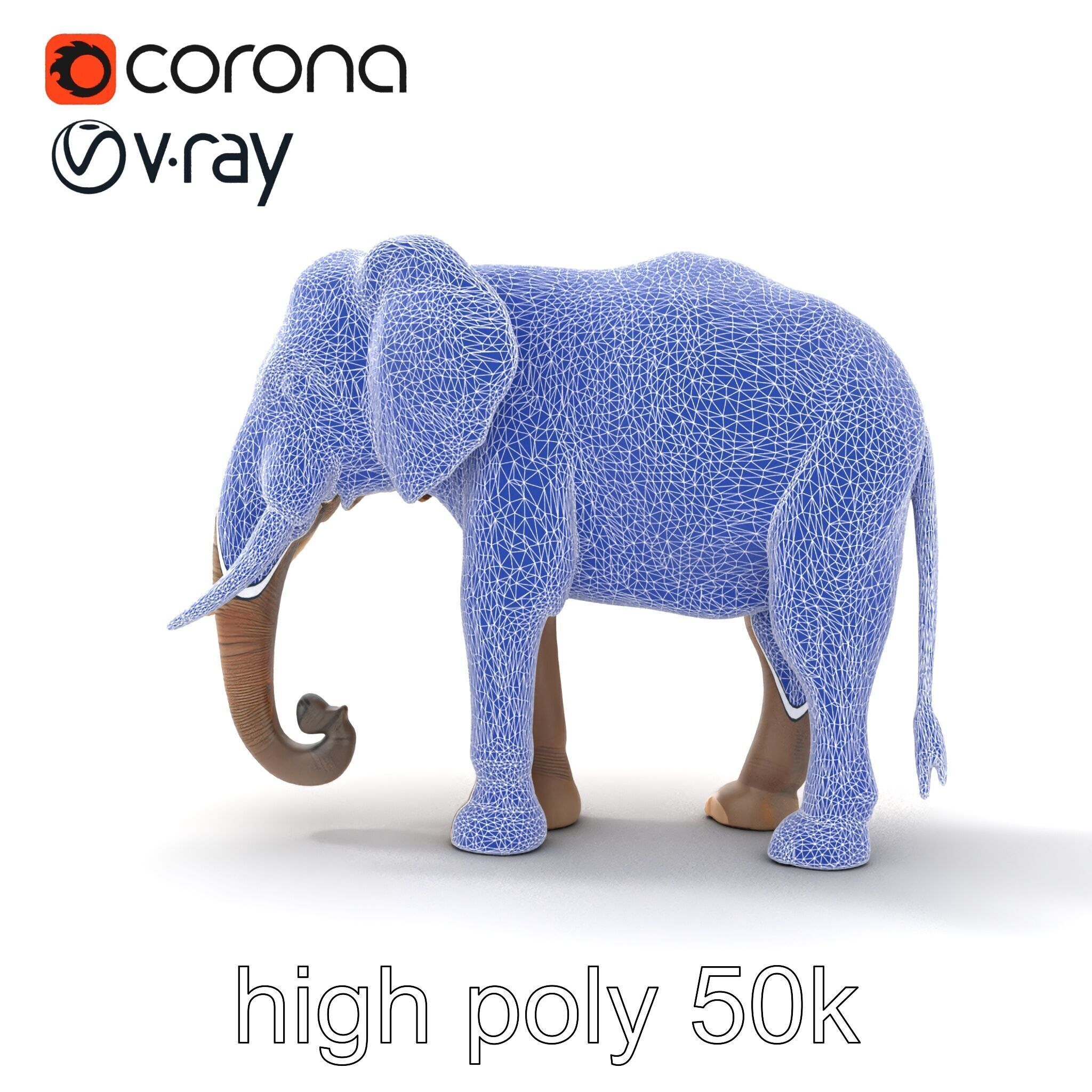 Elder Elephant Model Pack with Detailed Wrinkles Low-poly 3D model_21