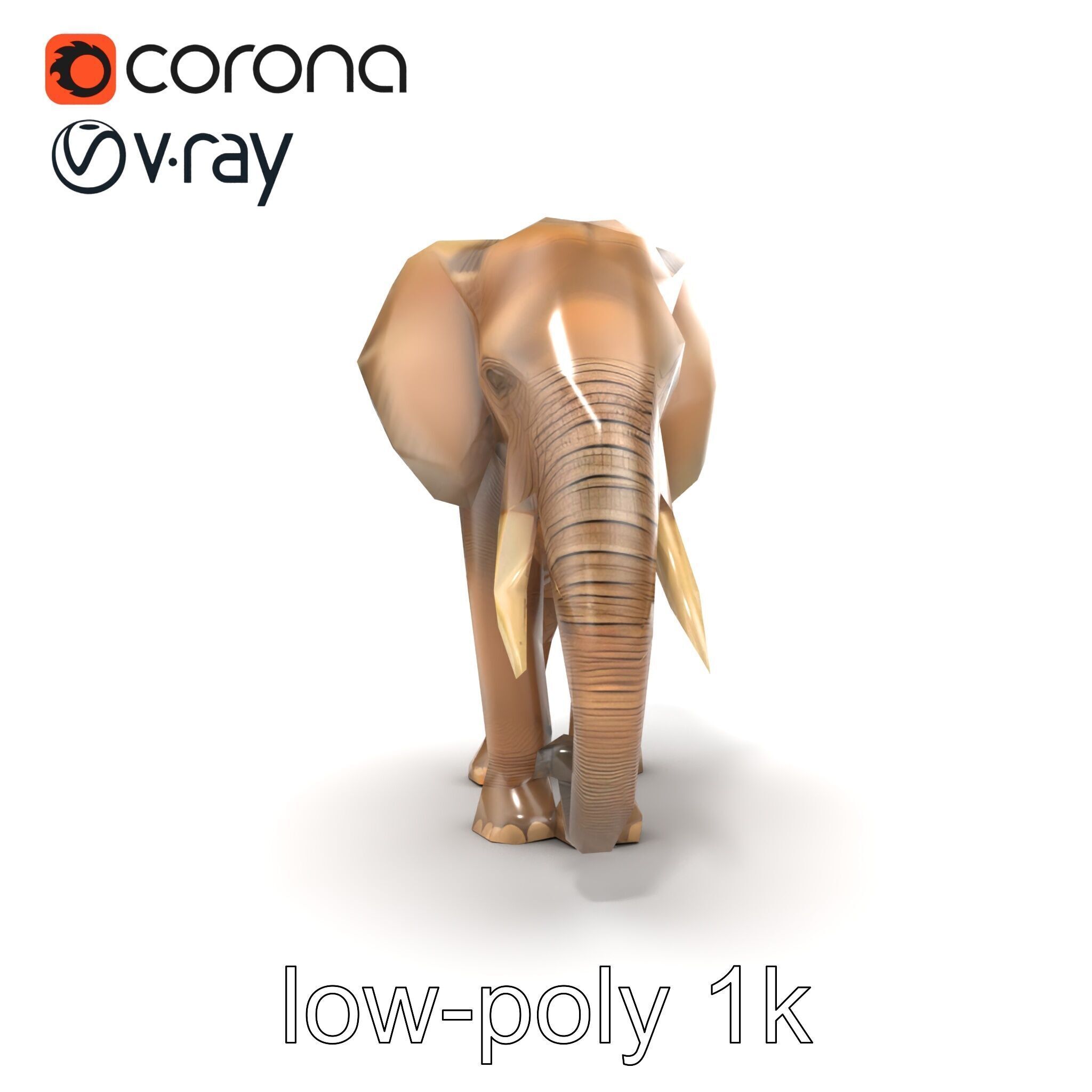 Elder Elephant Model Pack with Detailed Wrinkles Low-poly 3D model_31