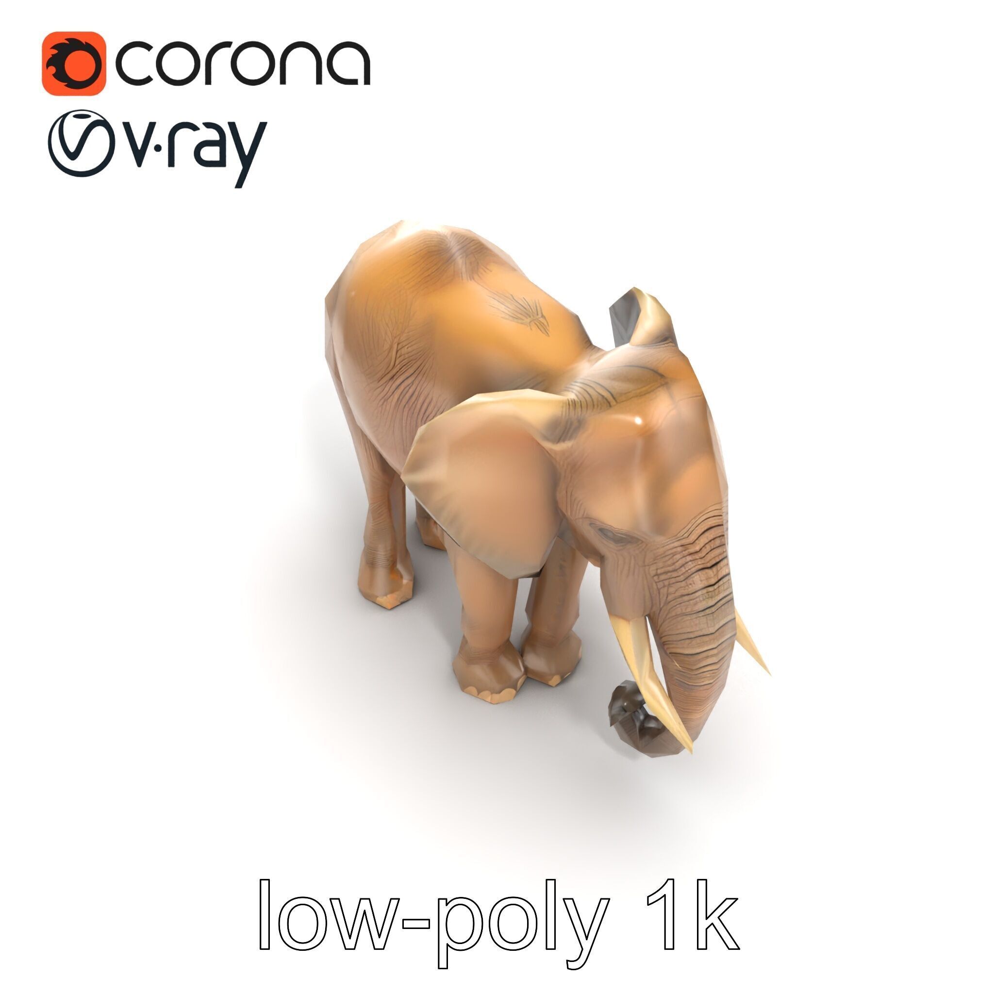 Elder Elephant Model Pack with Detailed Wrinkles Low-poly 3D model_11
