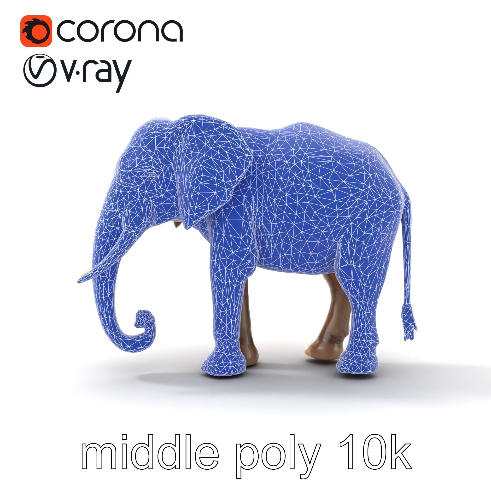 Elder Elephant Model Pack with Detailed Wrinkles Low-poly 3D model_20