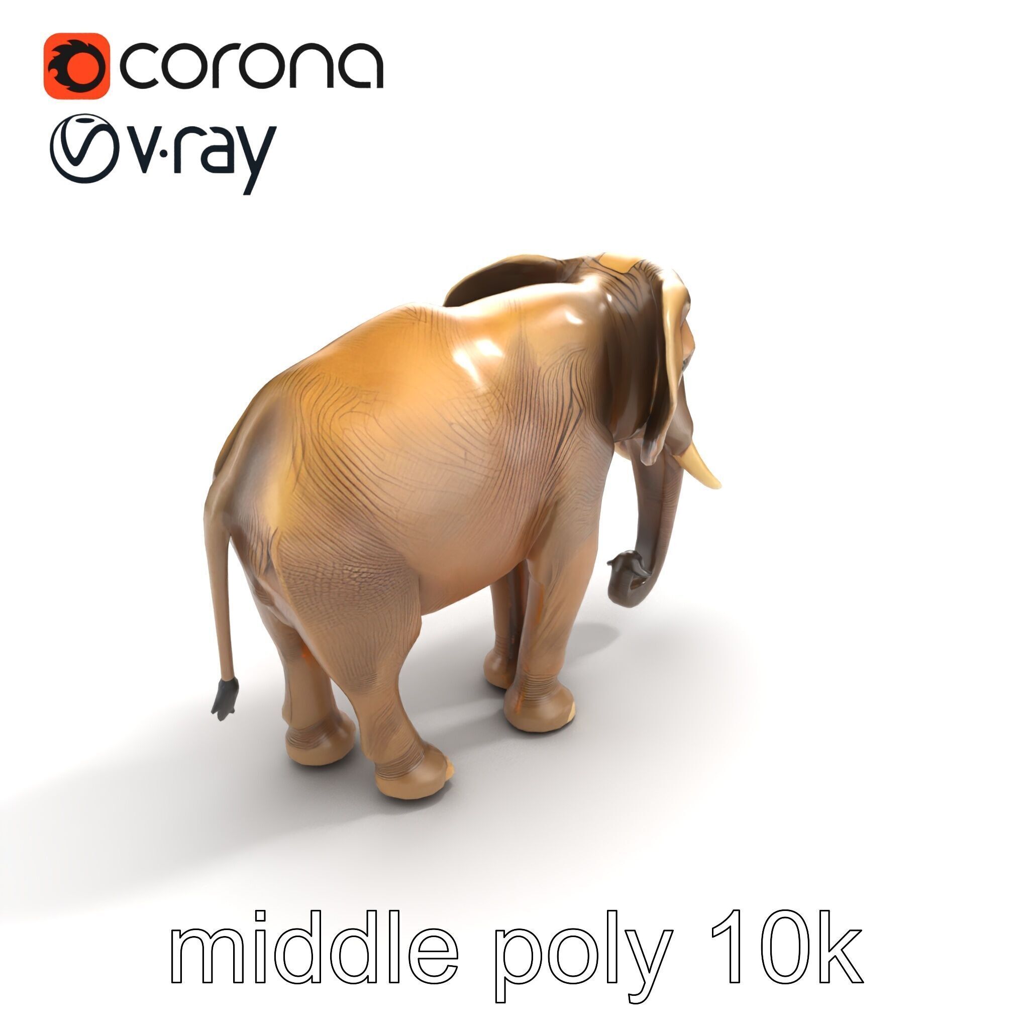 Elder Elephant Model Pack with Detailed Wrinkles Low-poly 3D model_8