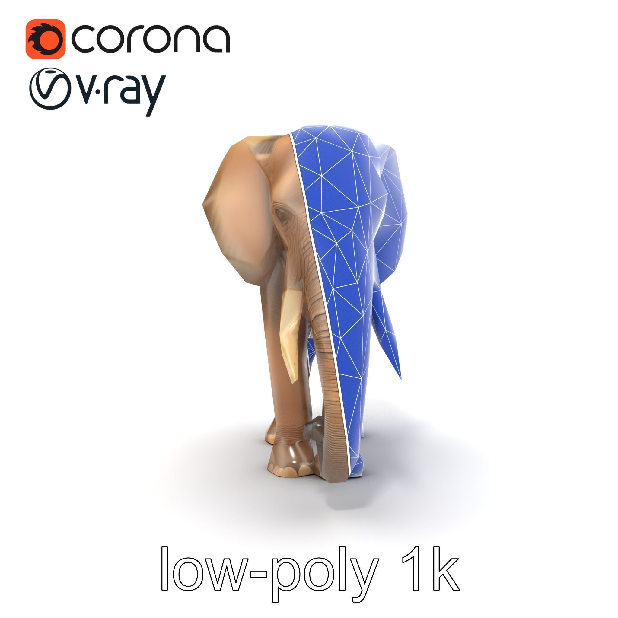 Elder Elephant Model Pack with Detailed Wrinkles Low-poly 3D model_15