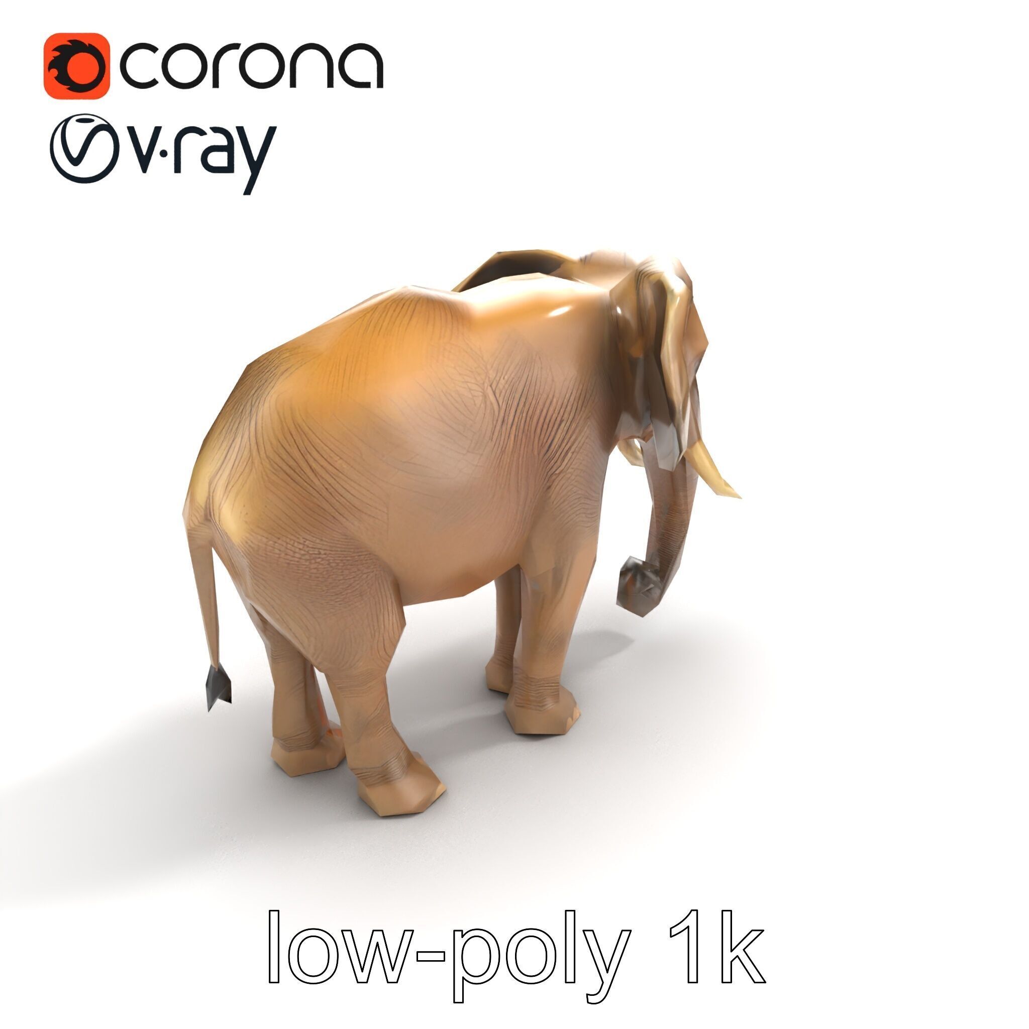 Elder Elephant Model Pack with Detailed Wrinkles Low-poly 3D model_9