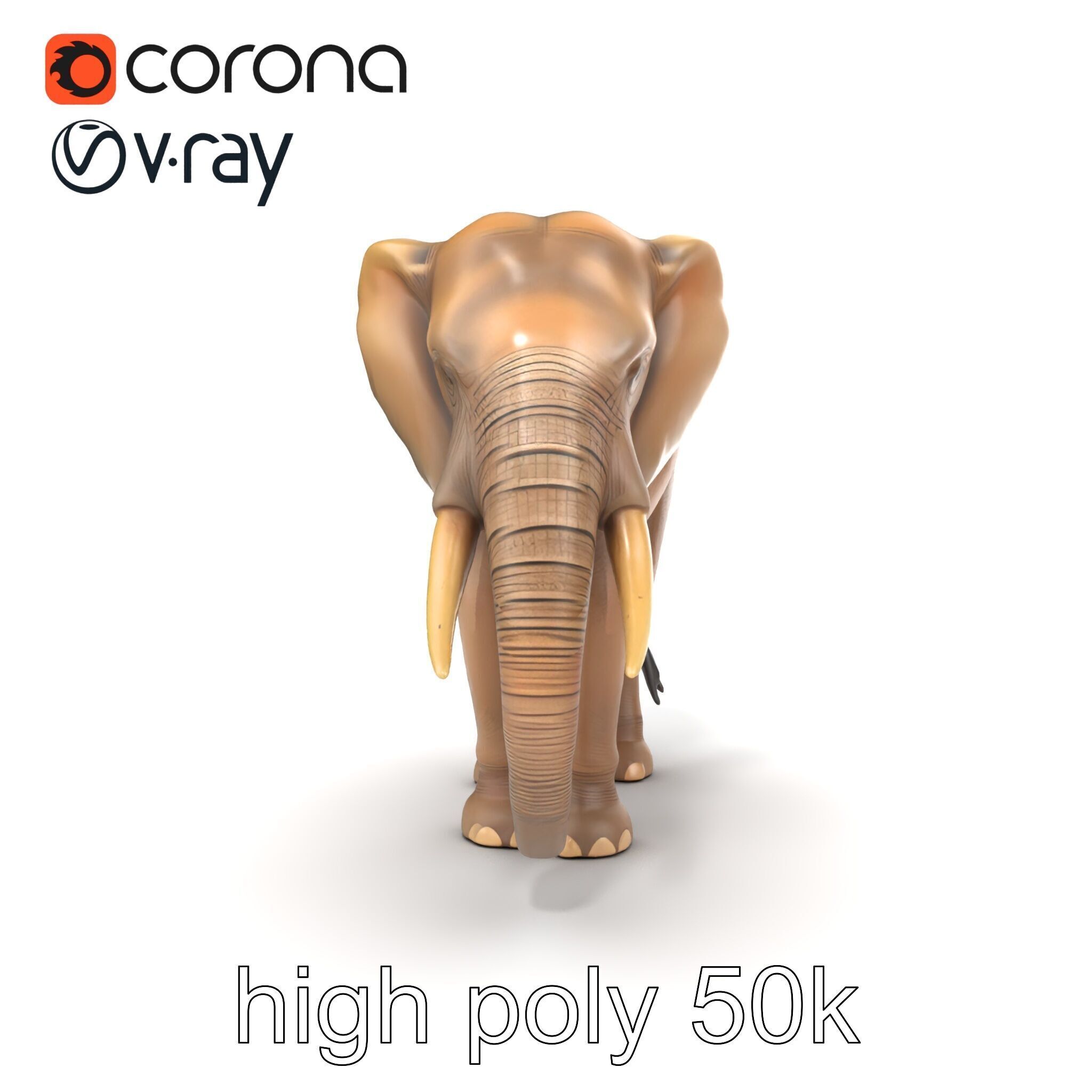 Elder Elephant Model Pack with Detailed Wrinkles Low-poly 3D model_30