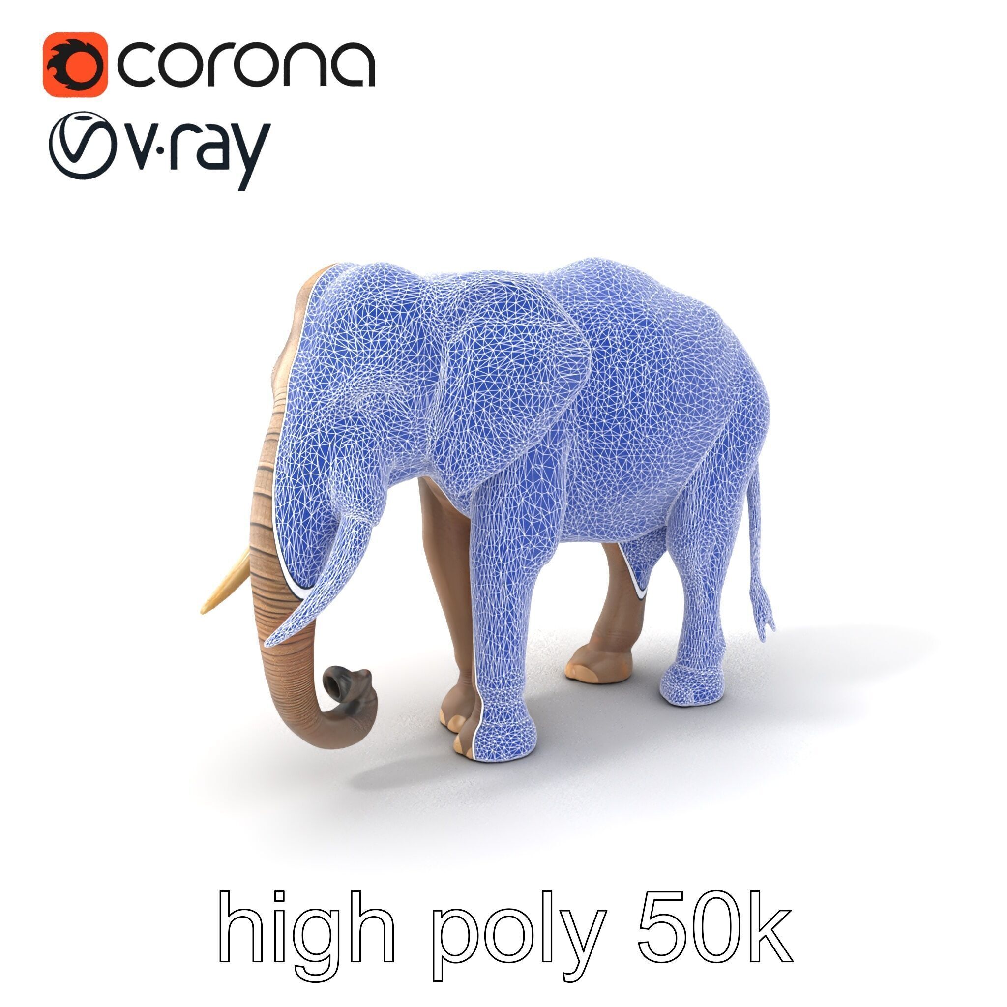 Elder Elephant Model Pack with Detailed Wrinkles Low-poly 3D model_10