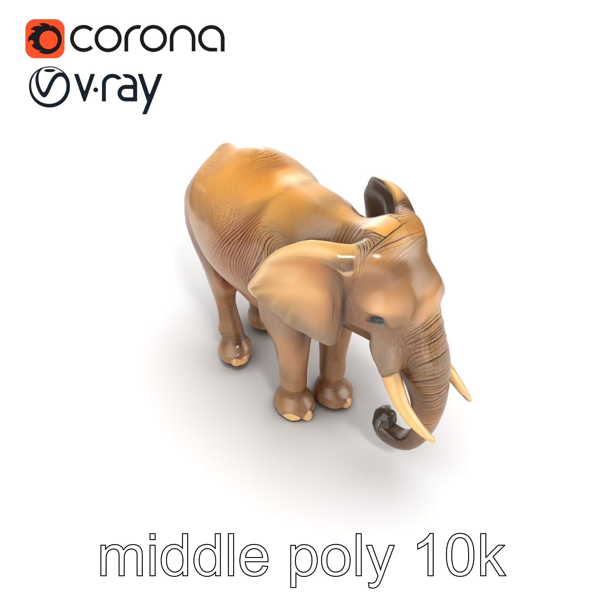 Elder Elephant Model Pack with Detailed Wrinkles Low-poly 3D model_32
