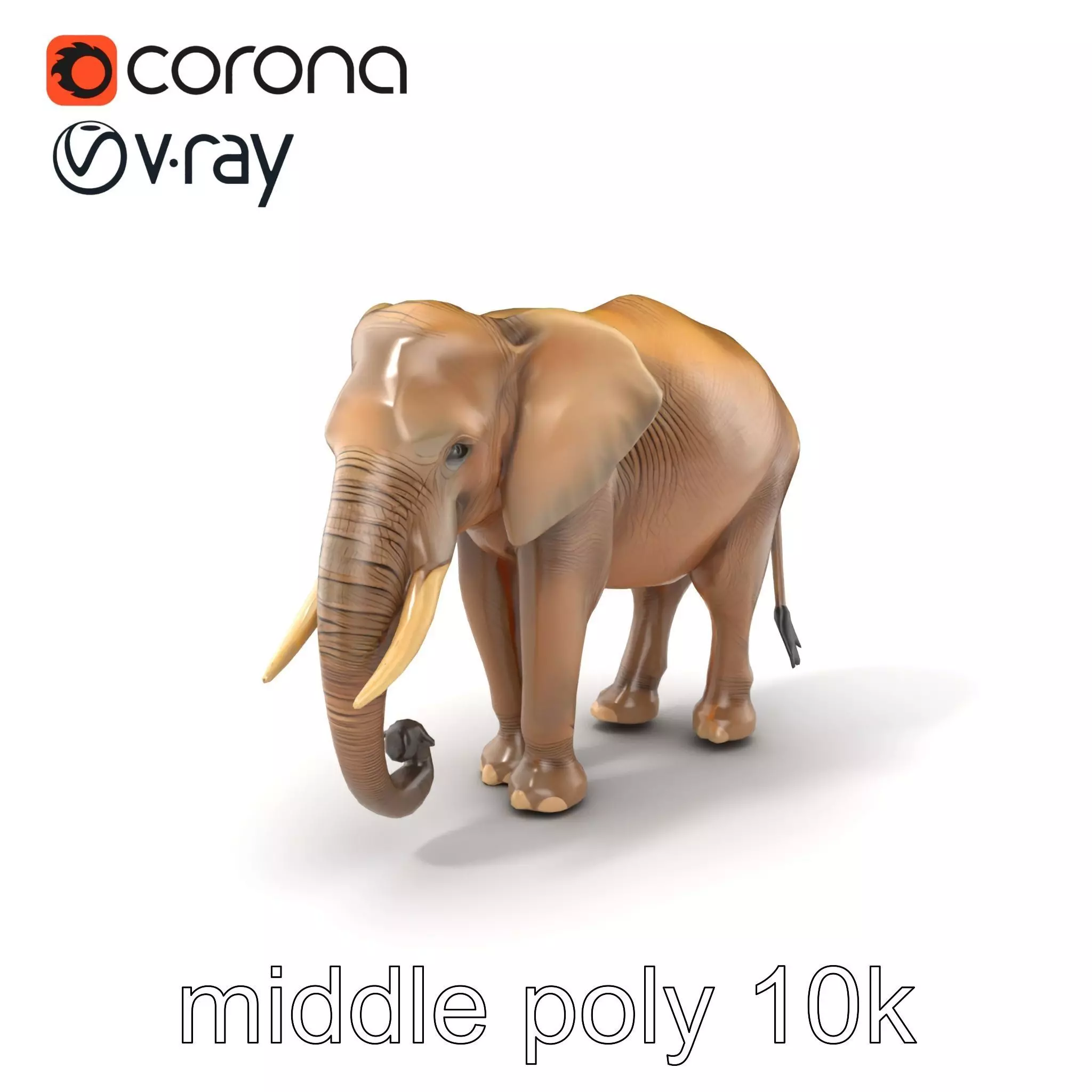 Elder Elephant Model Pack with Detailed Wrinkles Low-poly 3D model_0