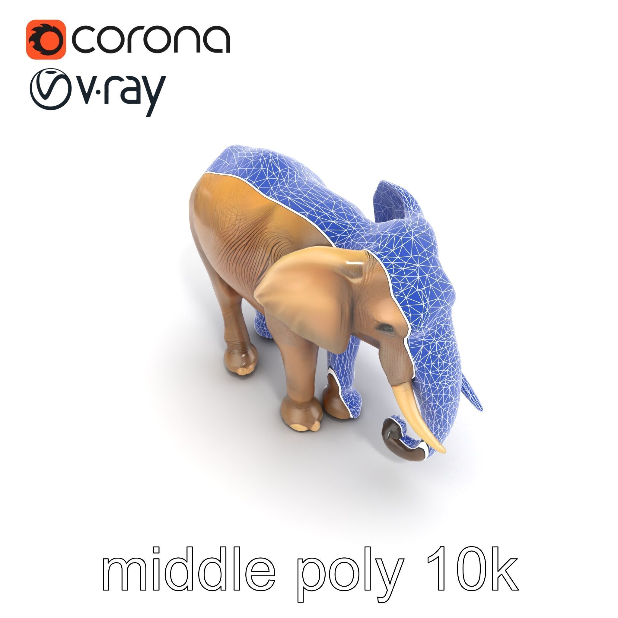 Elder Elephant Model Pack with Detailed Wrinkles Low-poly 3D model_16
