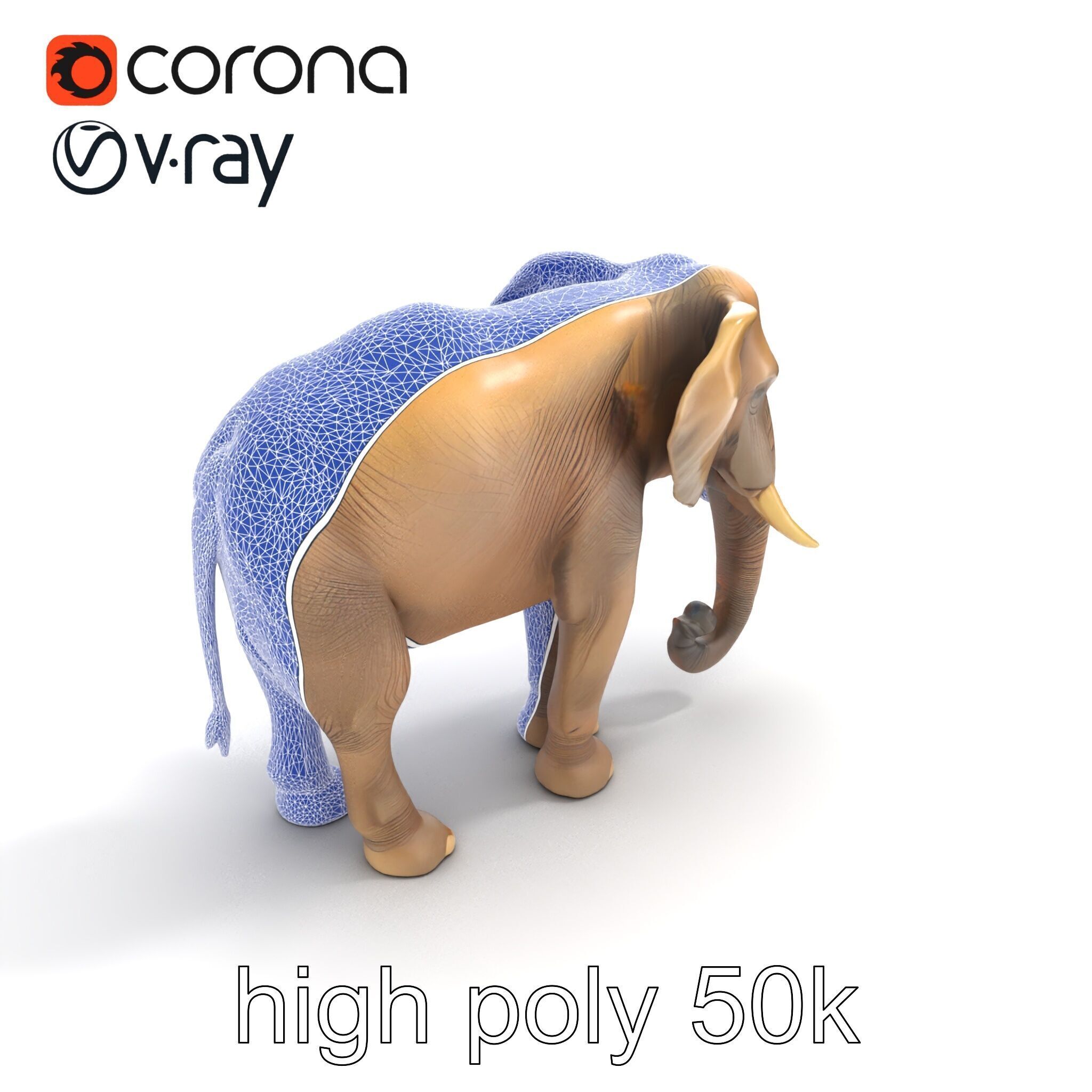 Elder Elephant Model Pack with Detailed Wrinkles Low-poly 3D model_17