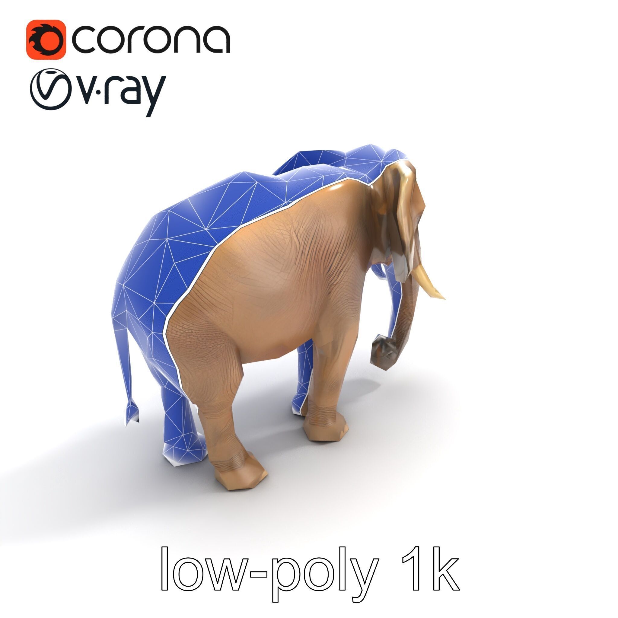 Elder Elephant Model Pack with Detailed Wrinkles Low-poly 3D model_14