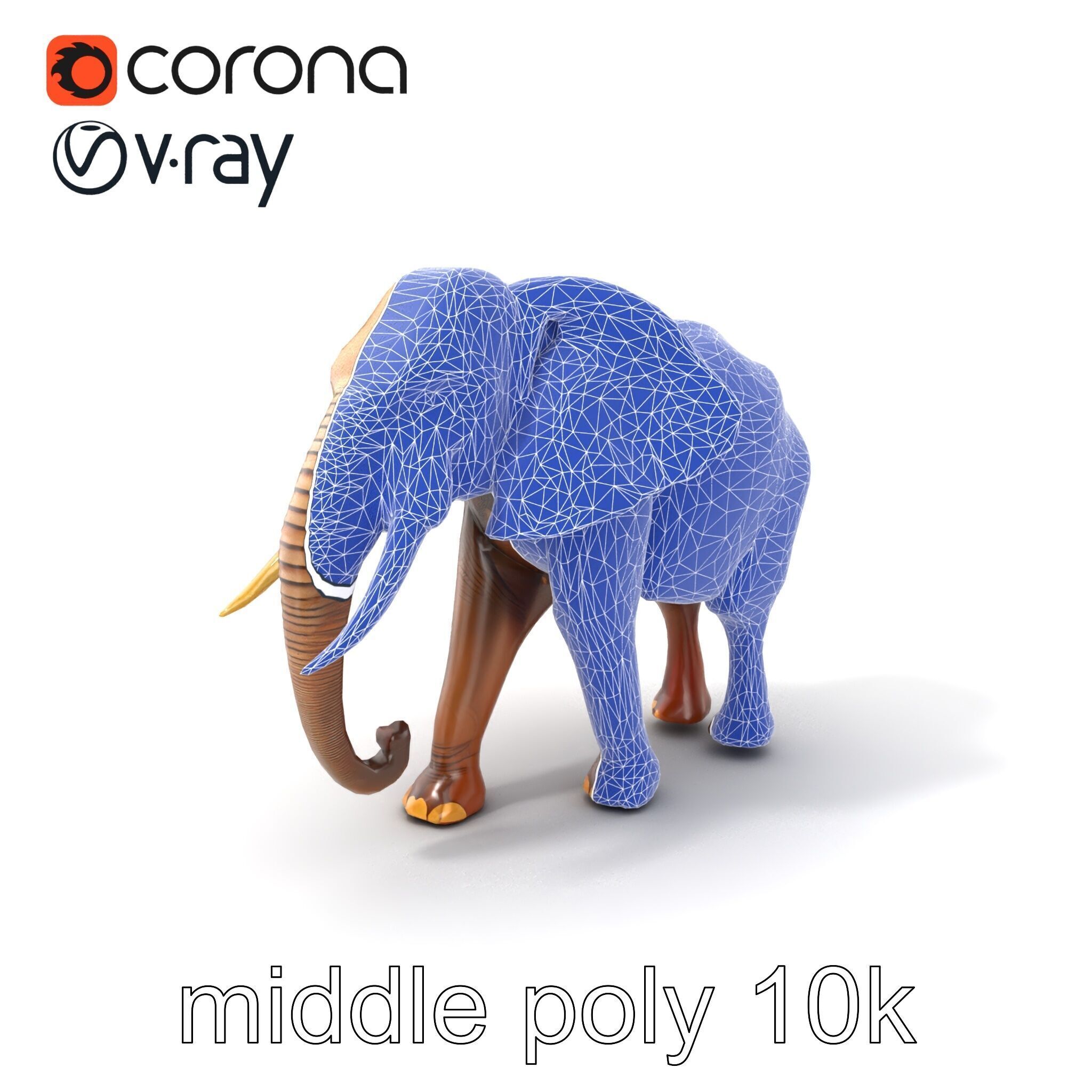 Elephant with Natural Scratches D model pack Low-poly 3D model_6