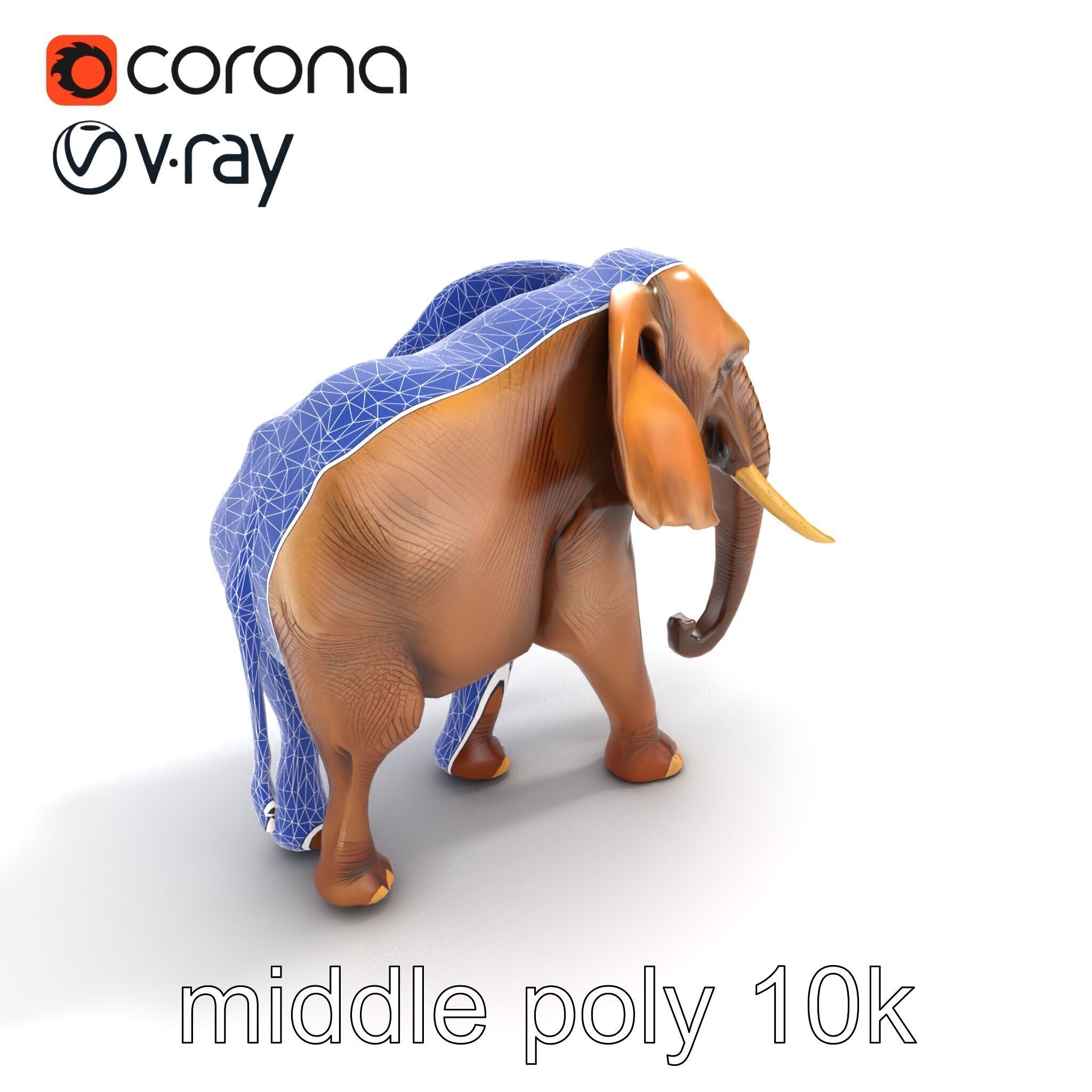 Elephant with Natural Scratches D model pack Low-poly 3D model_11