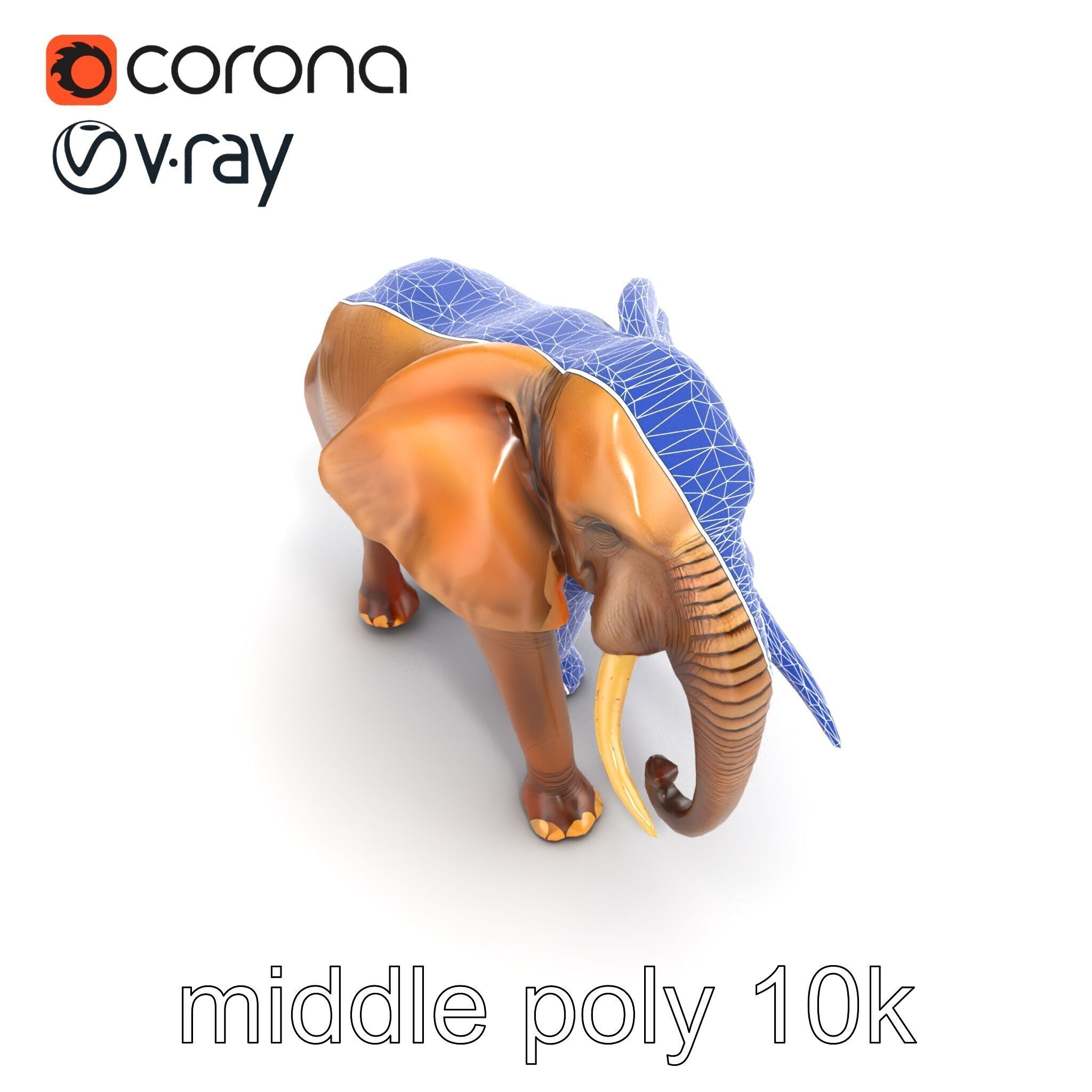 Elephant with Natural Scratches D model pack Low-poly 3D model_18